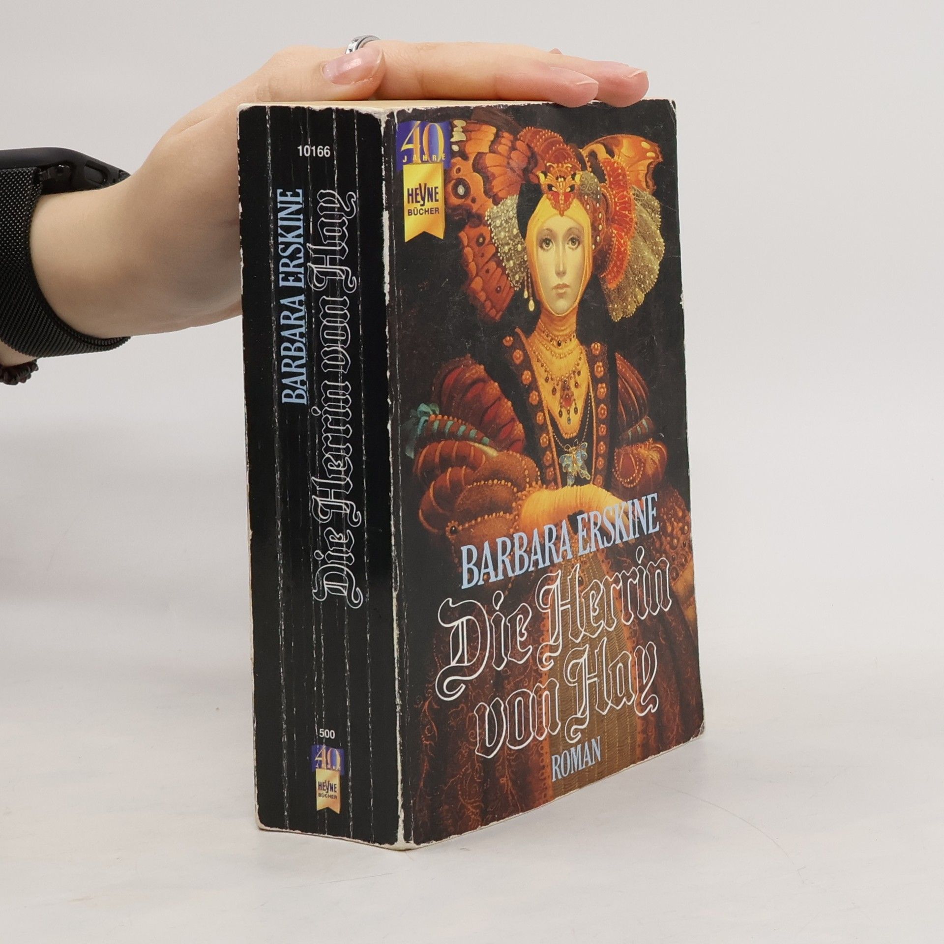 Barbara Erskinová Die Herrin von Hay