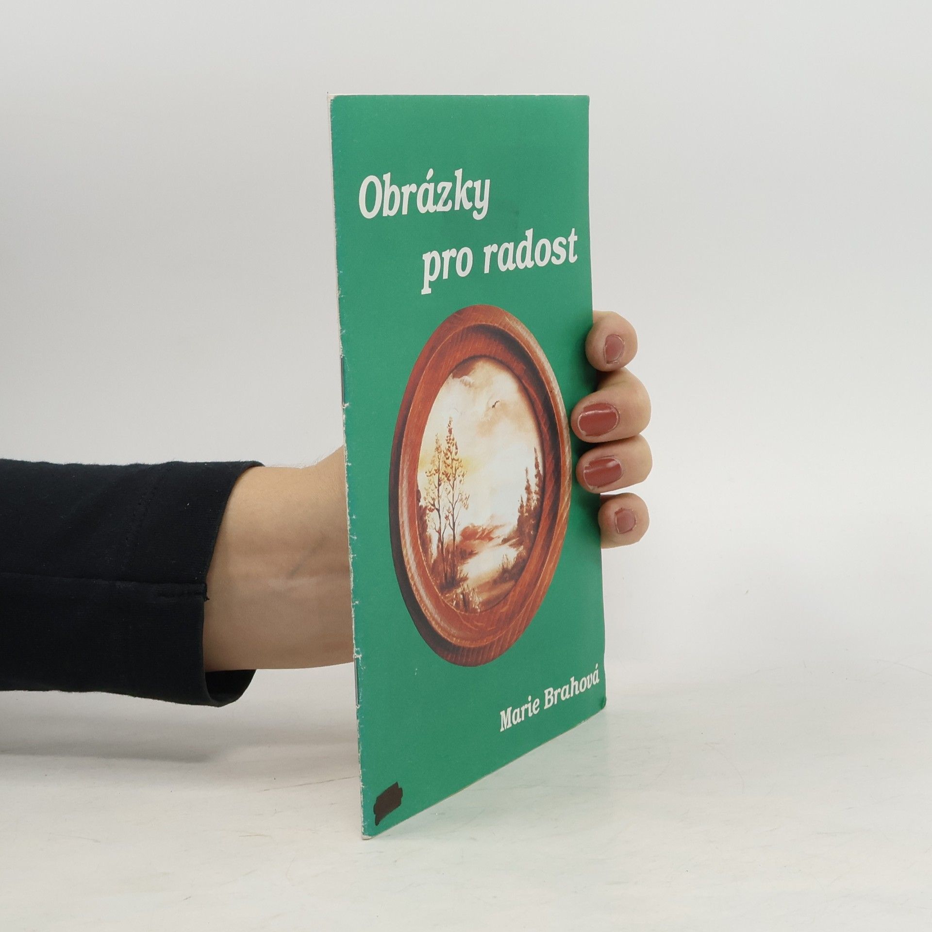 Brahová Marie Obrázky pro radost