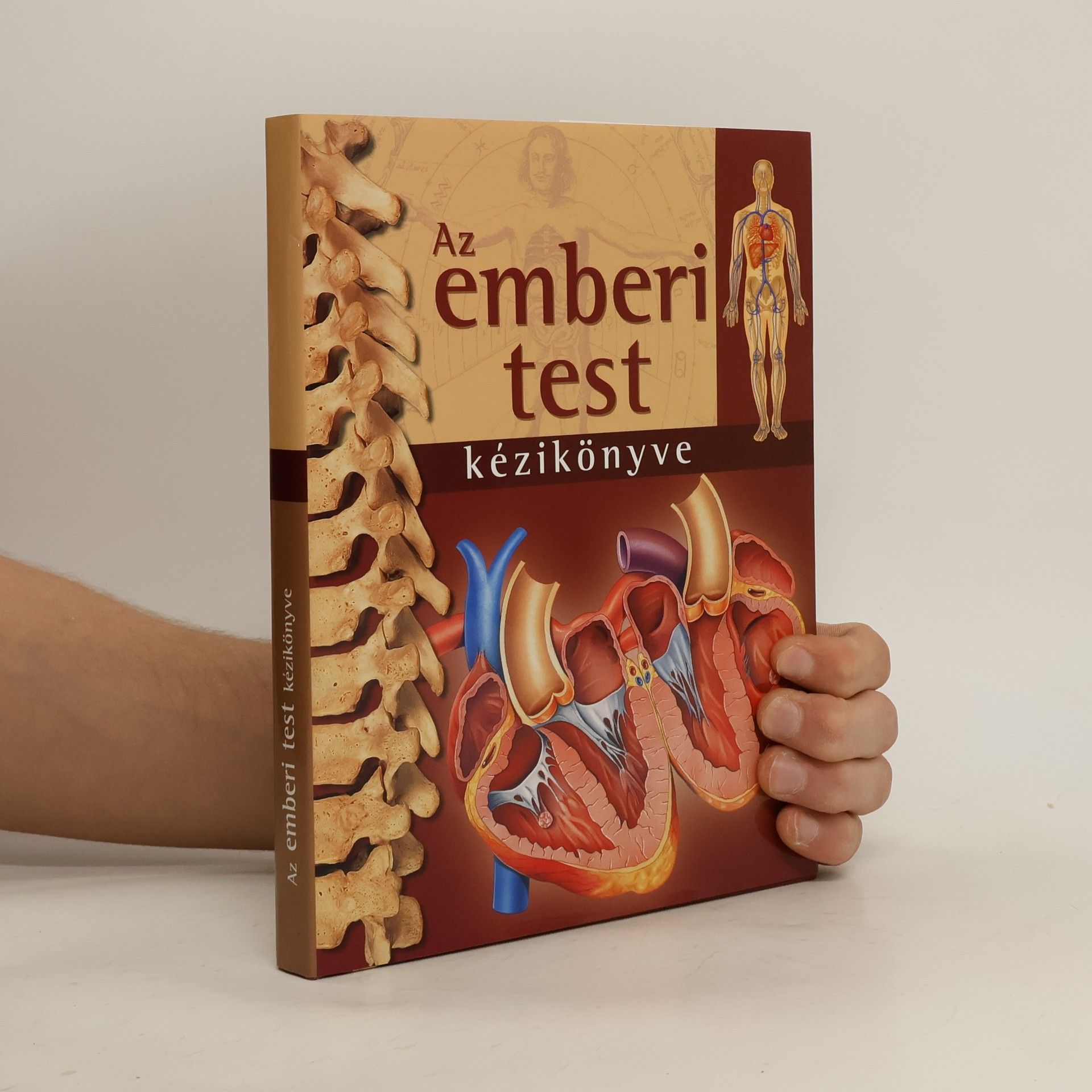 Abrahams Peter Az emberi test kézikönyve