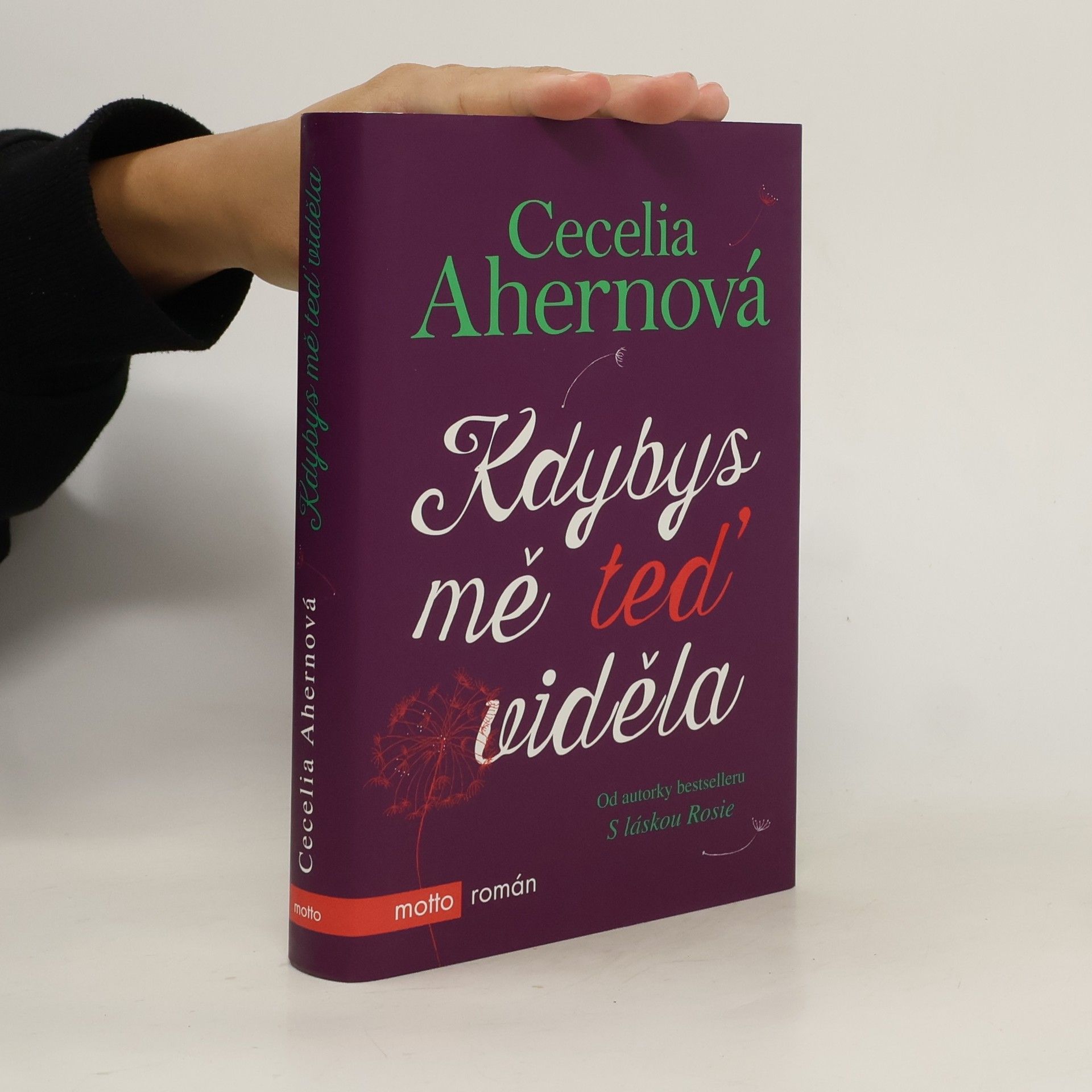 Cecelia Ahern Kdybys mě teď viděla