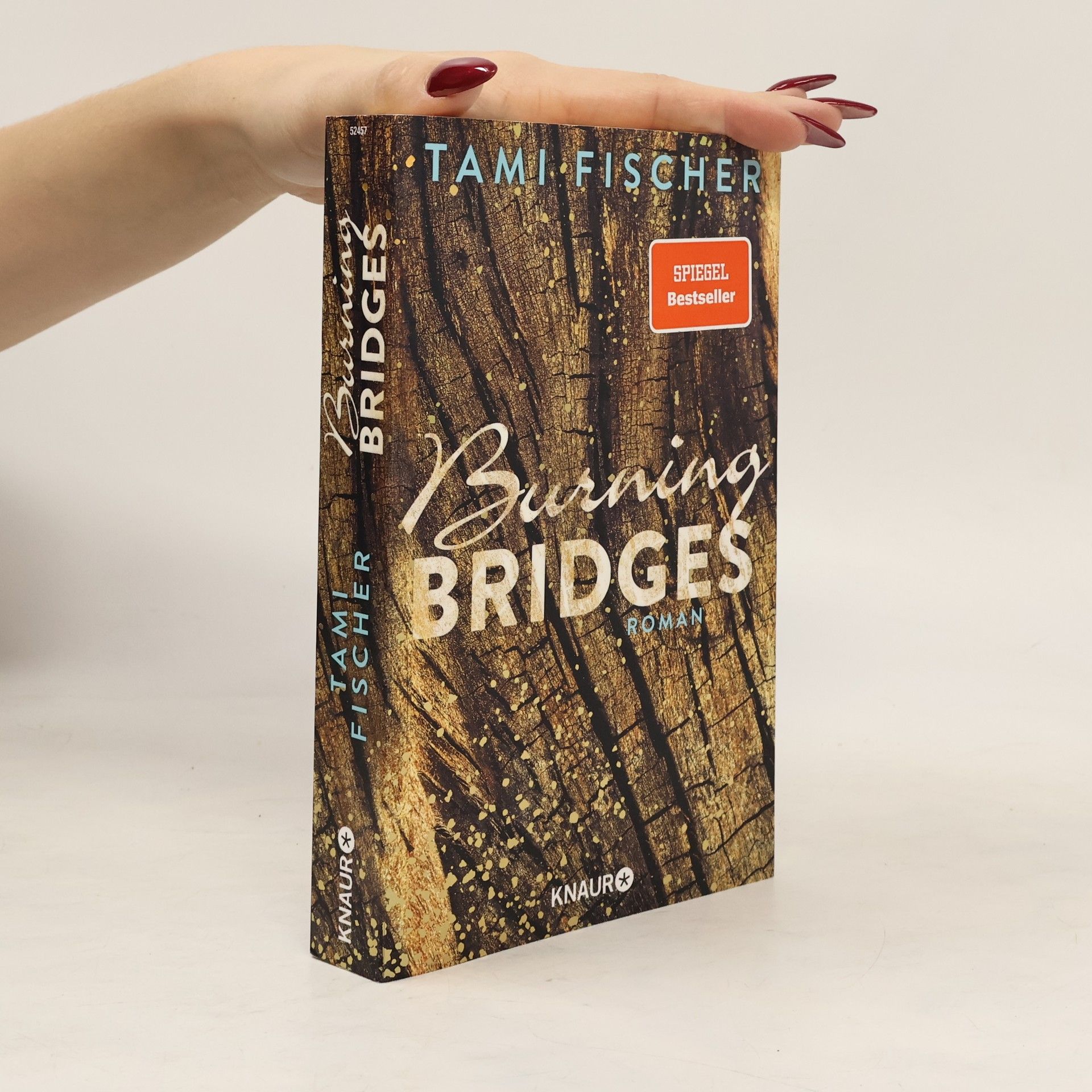 Tami Fischer Burning bridges