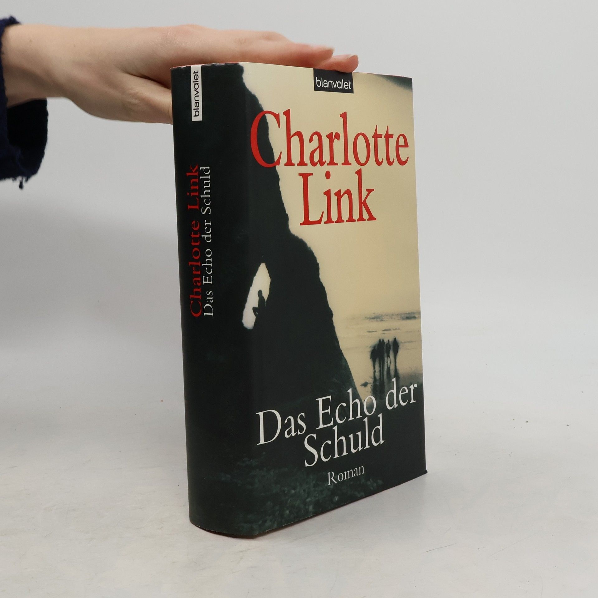 Charlotte Link Das Echo der Schuld