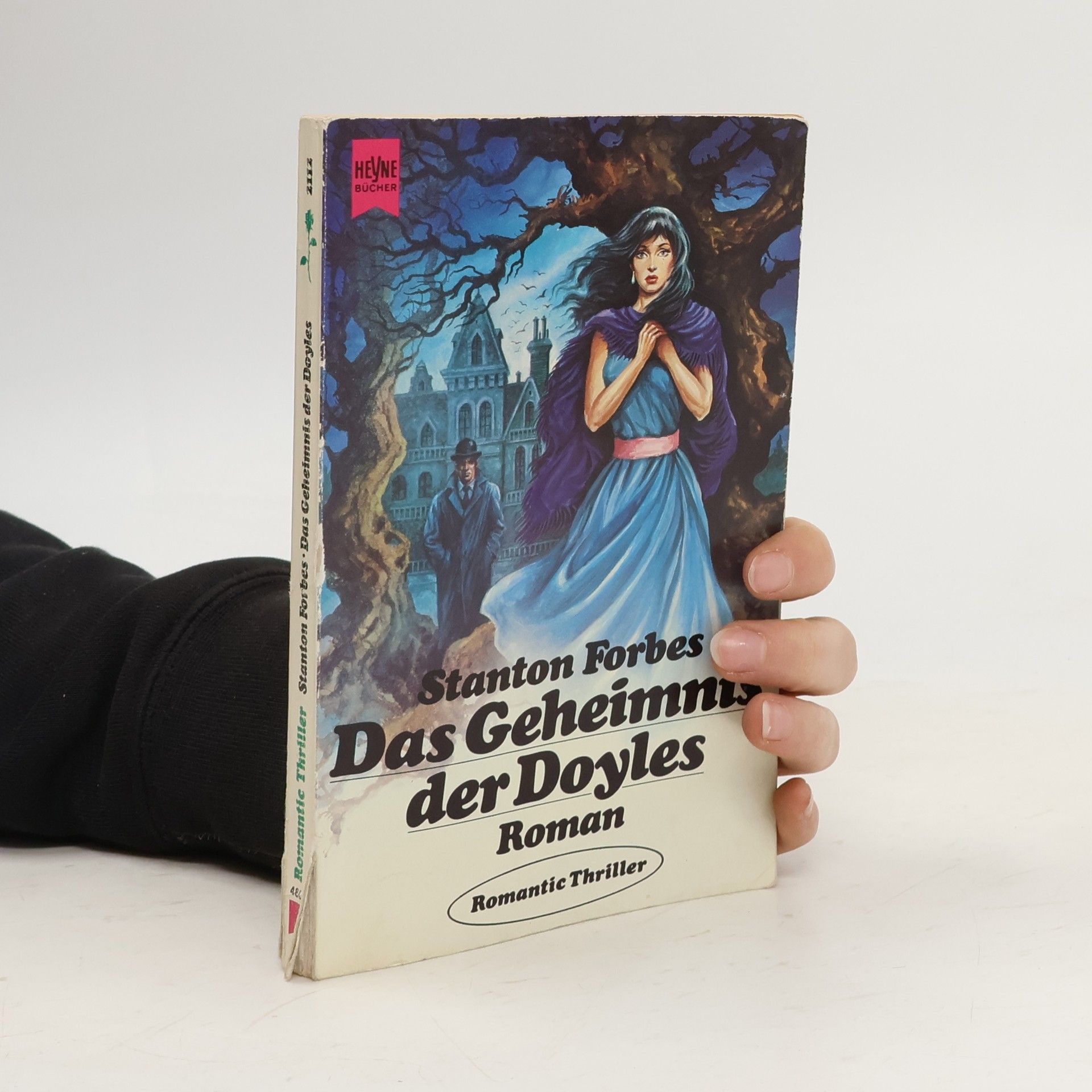 Stanton Forbes Das Geheimnis der Doyles.