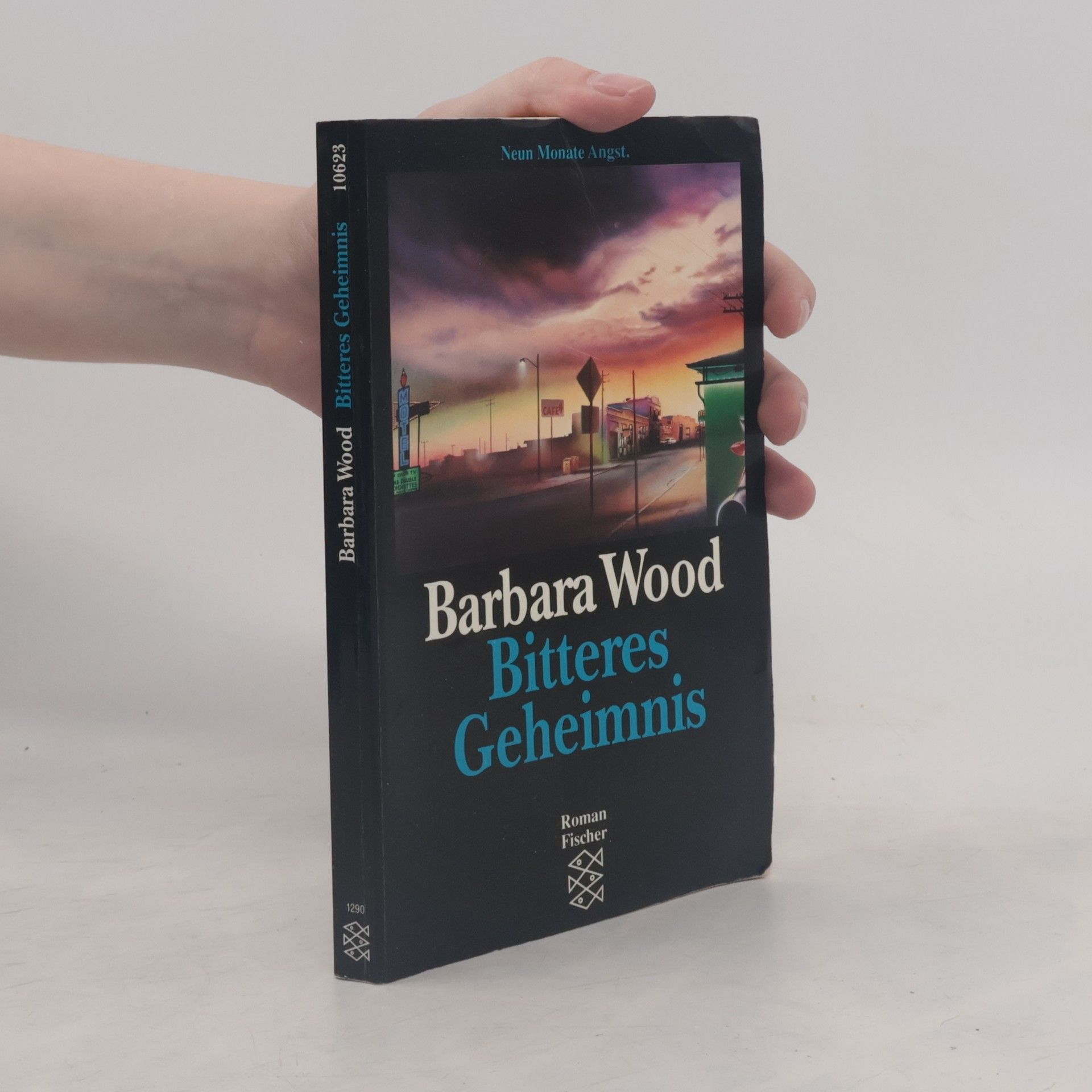 Barbara Wood Bitteres Geheimnis