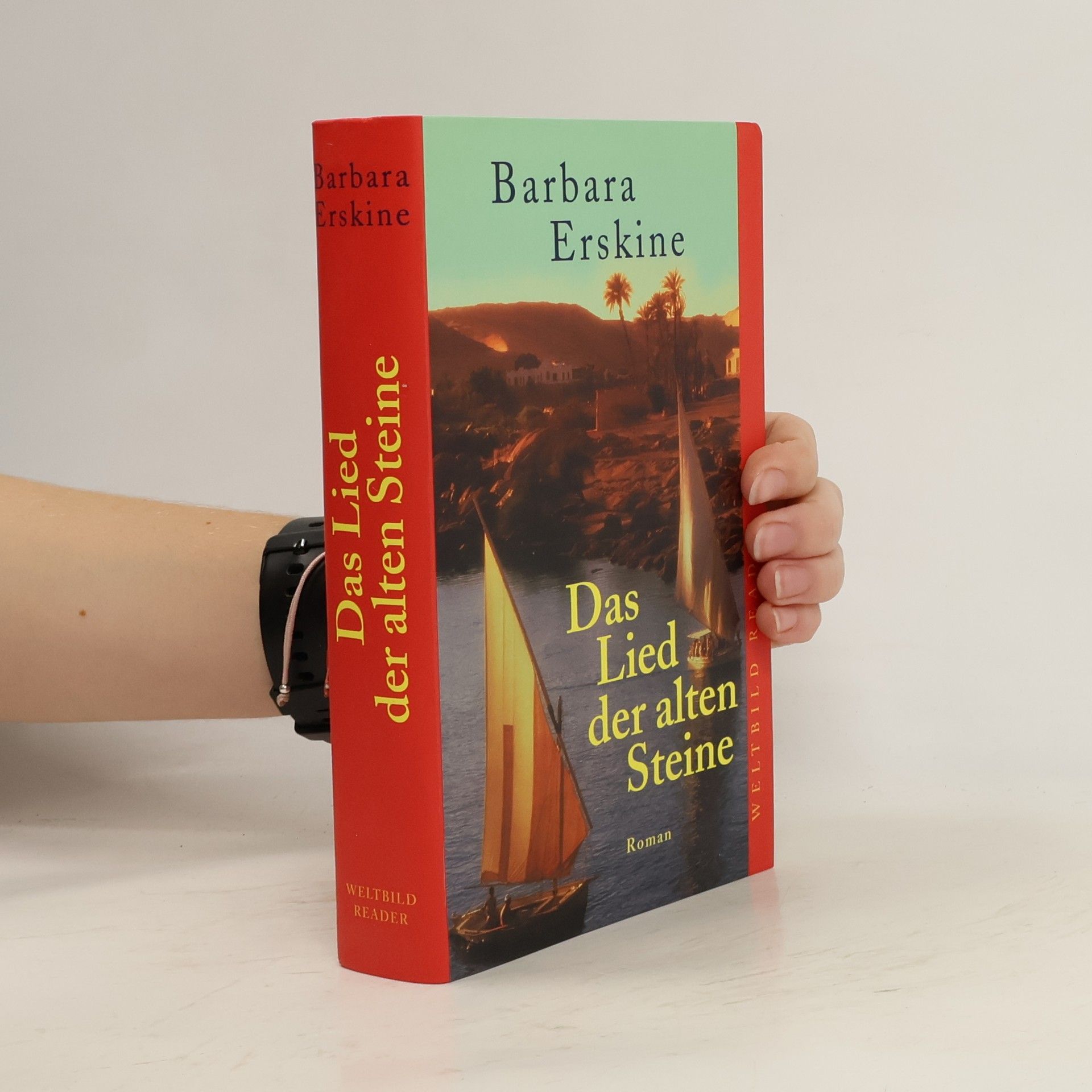 Barbara Erskine Das Lied der alten Steine