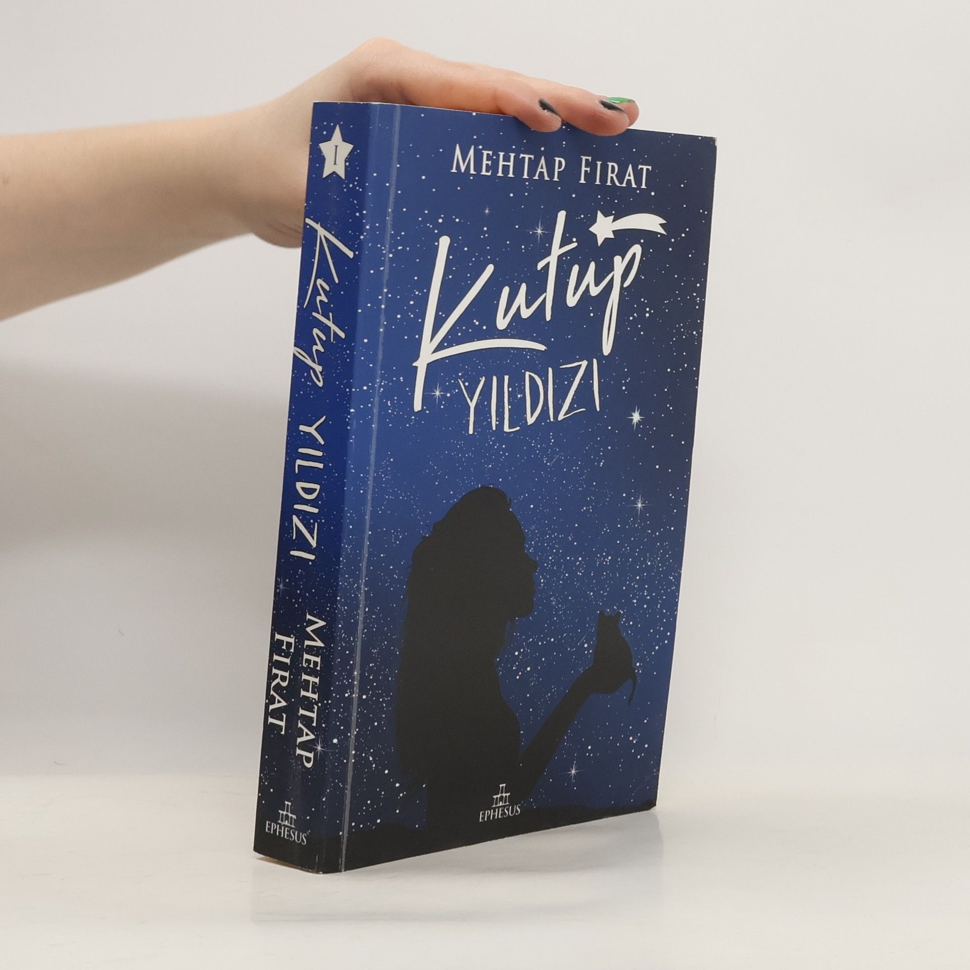 Mehtap Firat Kutup Yildizi 1 - Karton Kapak