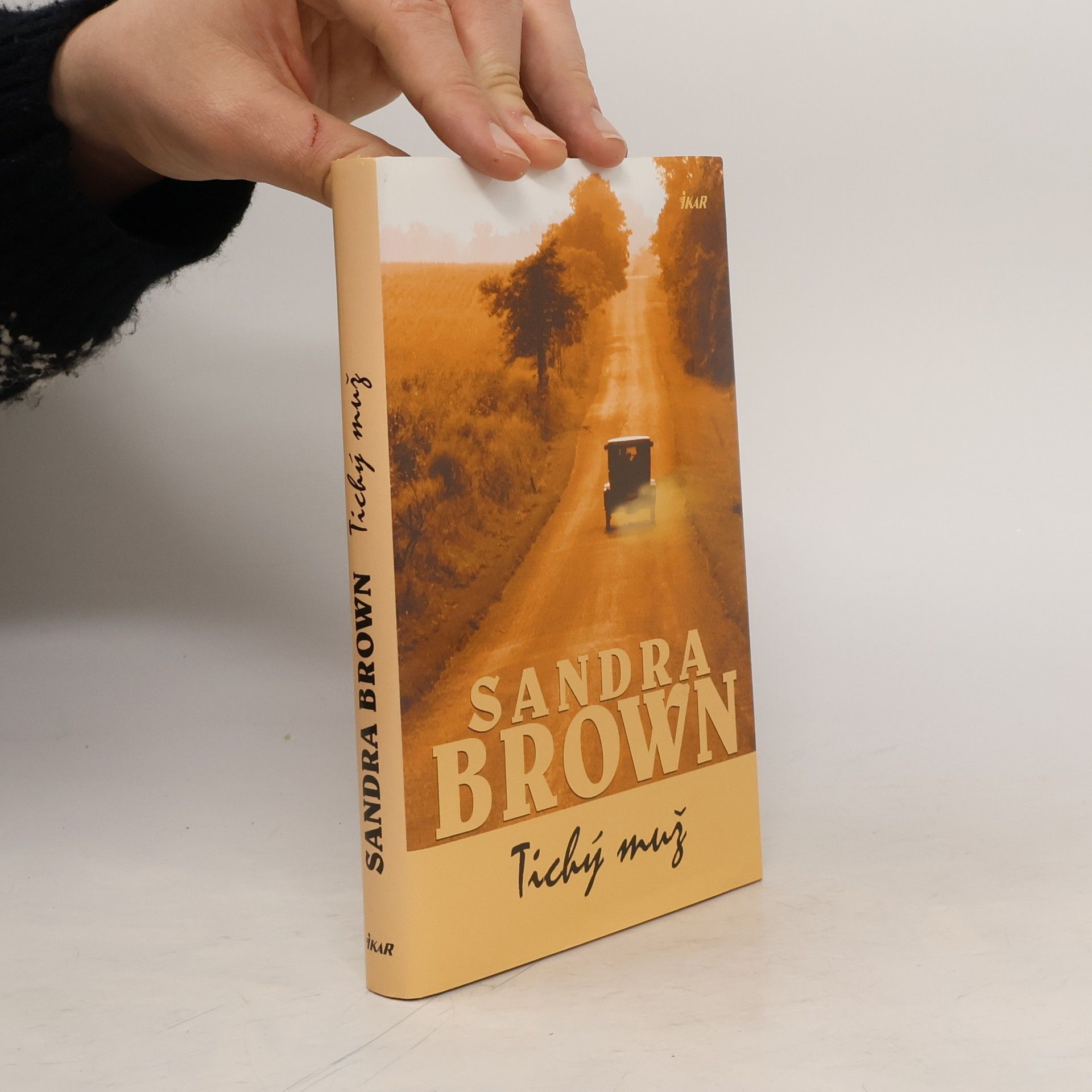 Sandra Brown Tichý muž