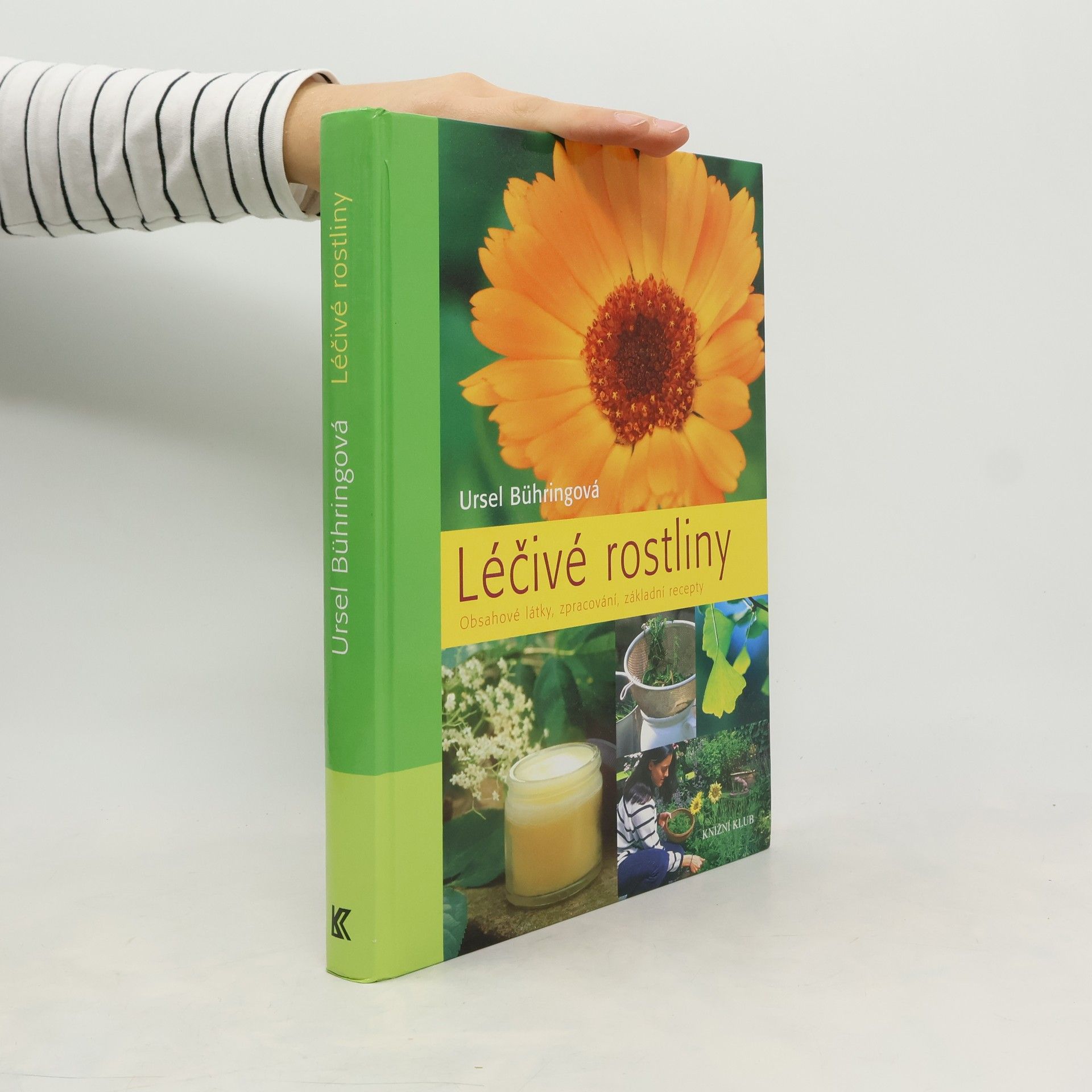 Ursel Bühring Léčivé rostliny - Obsahové látky, zpracování, základní recepty
