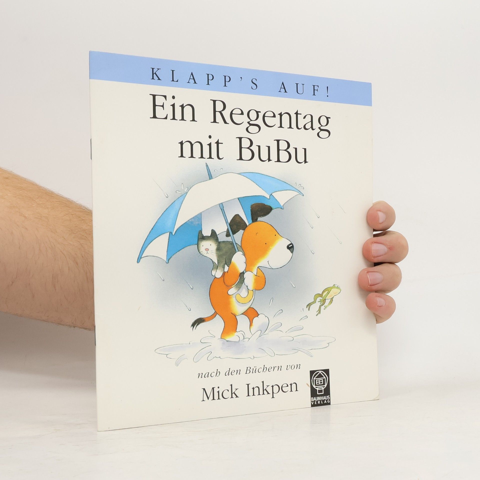 Mick Inkpen Ein Regentag mit Bubu