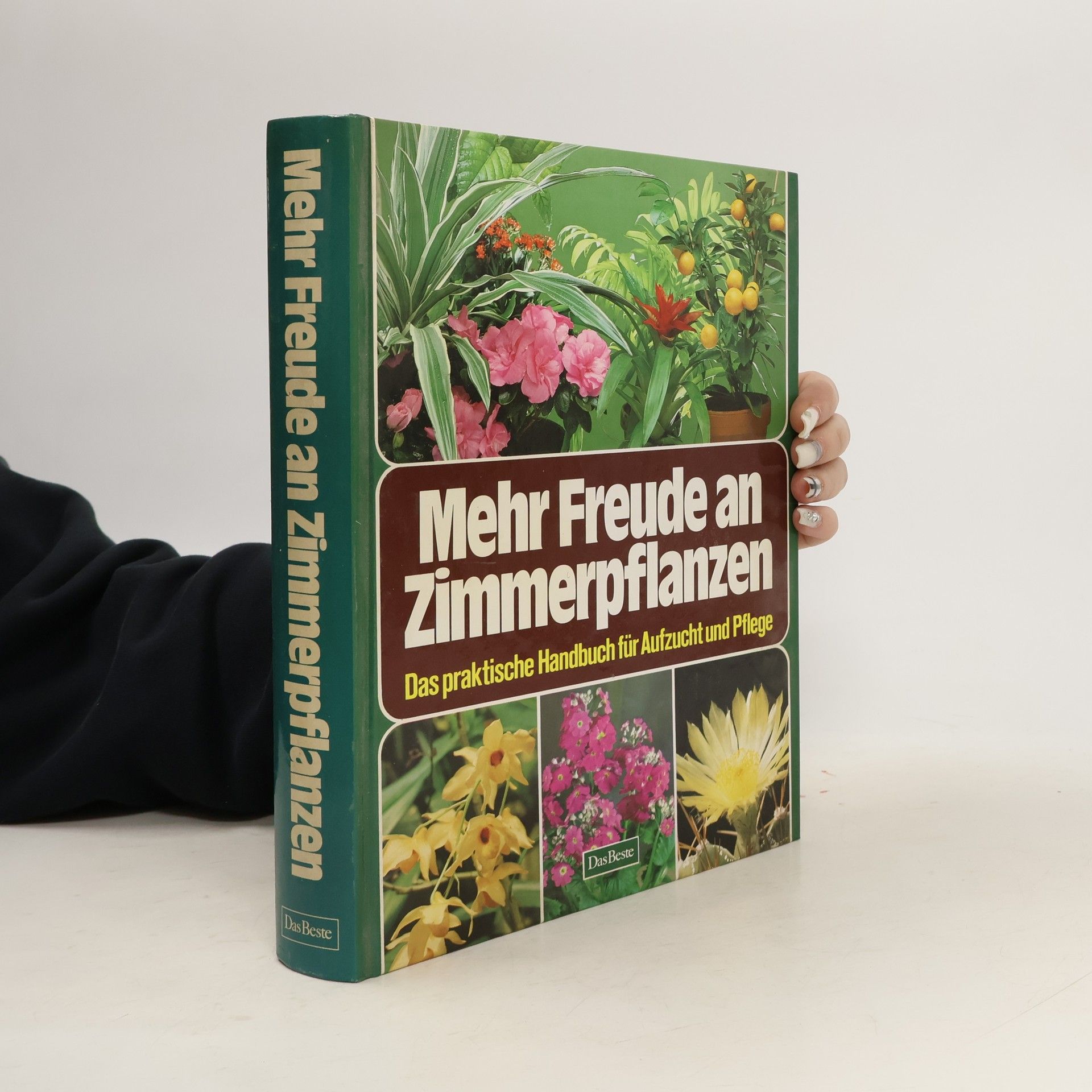 Mehr Freude an Zimmerpflanzen