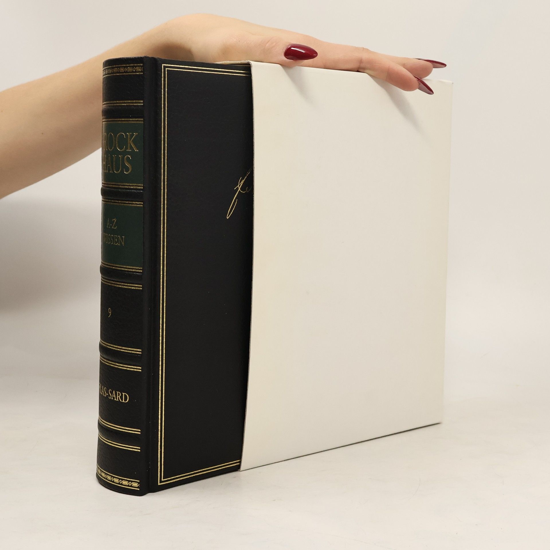 Autorenkollektiv Brockhaus. A-Z Wissen in 12 Bänden. Band 9