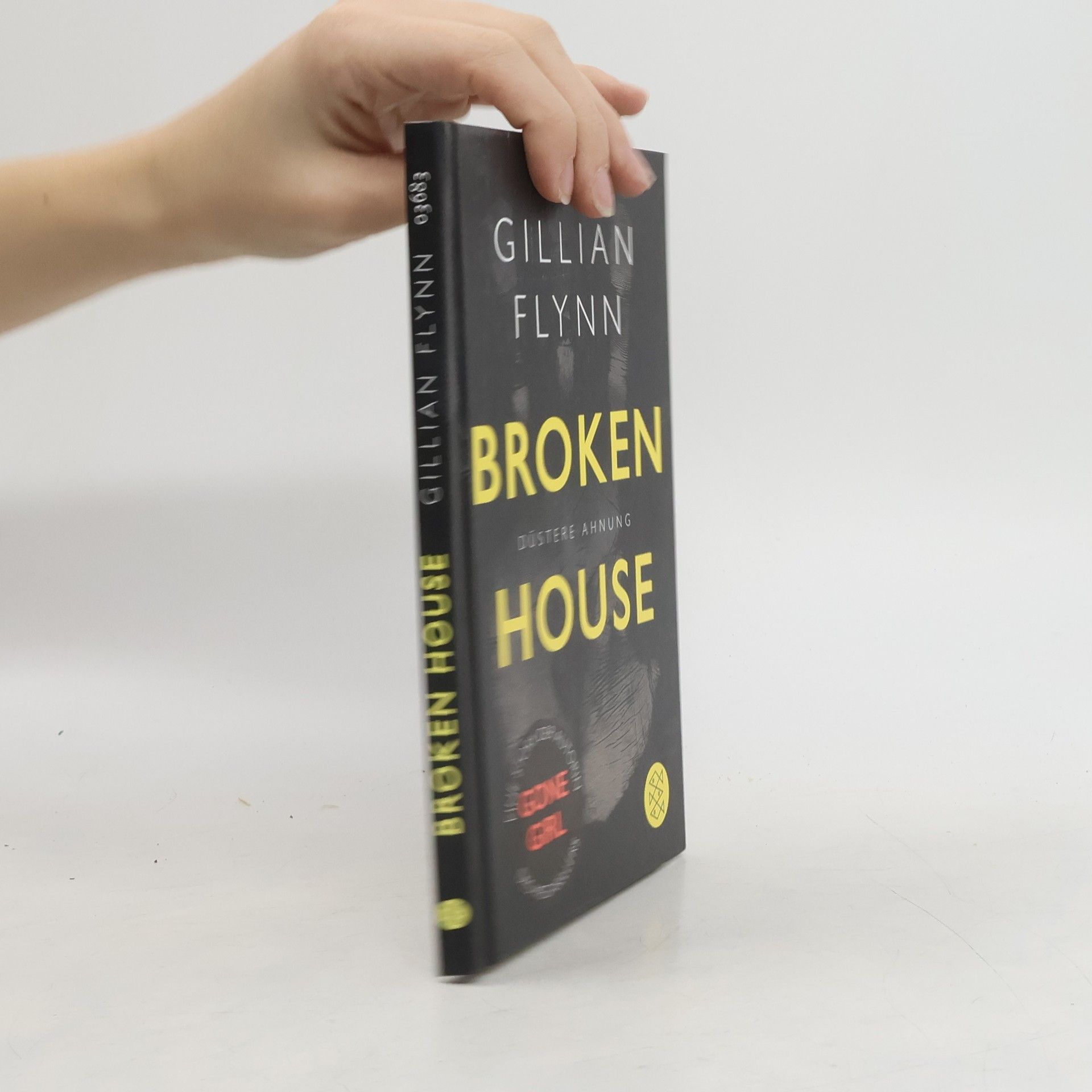Gillian Flynn Broken House