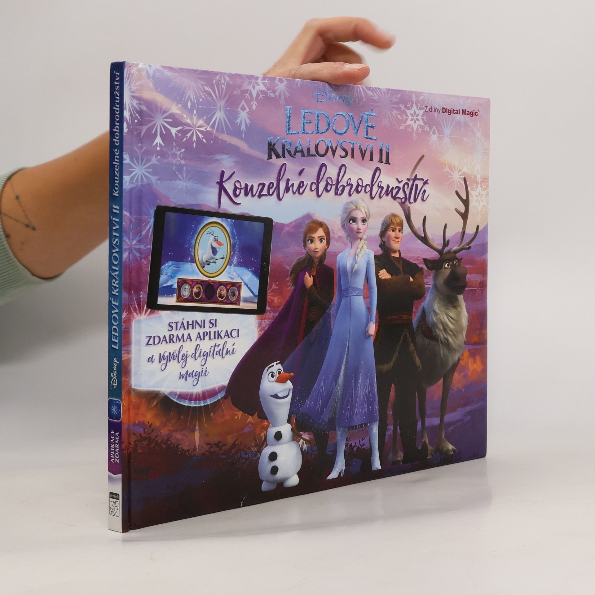 Kolektiv autorů Ledové království II : Kouzelné dobrodružství