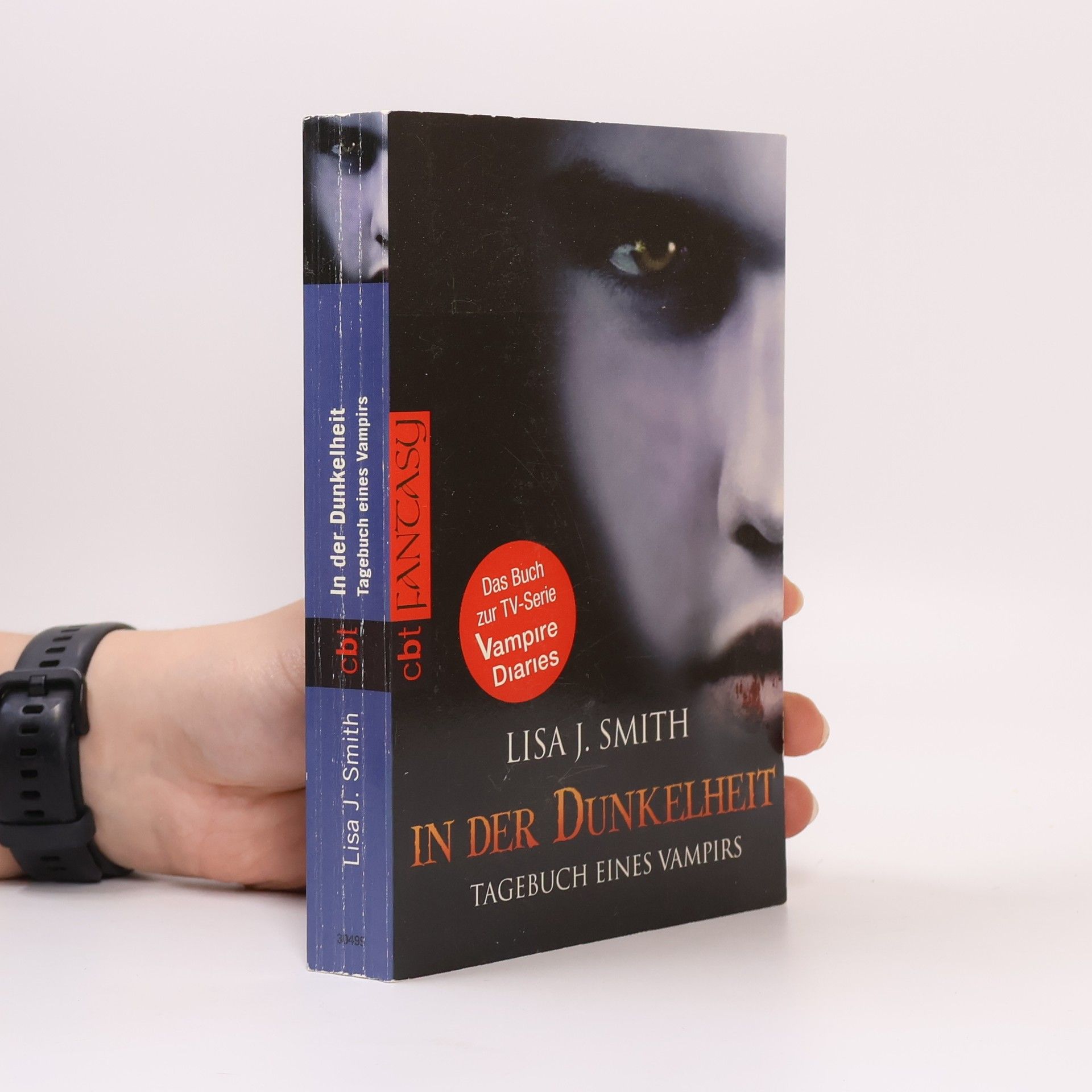 L. J. Smithová  In der Dunkelheit