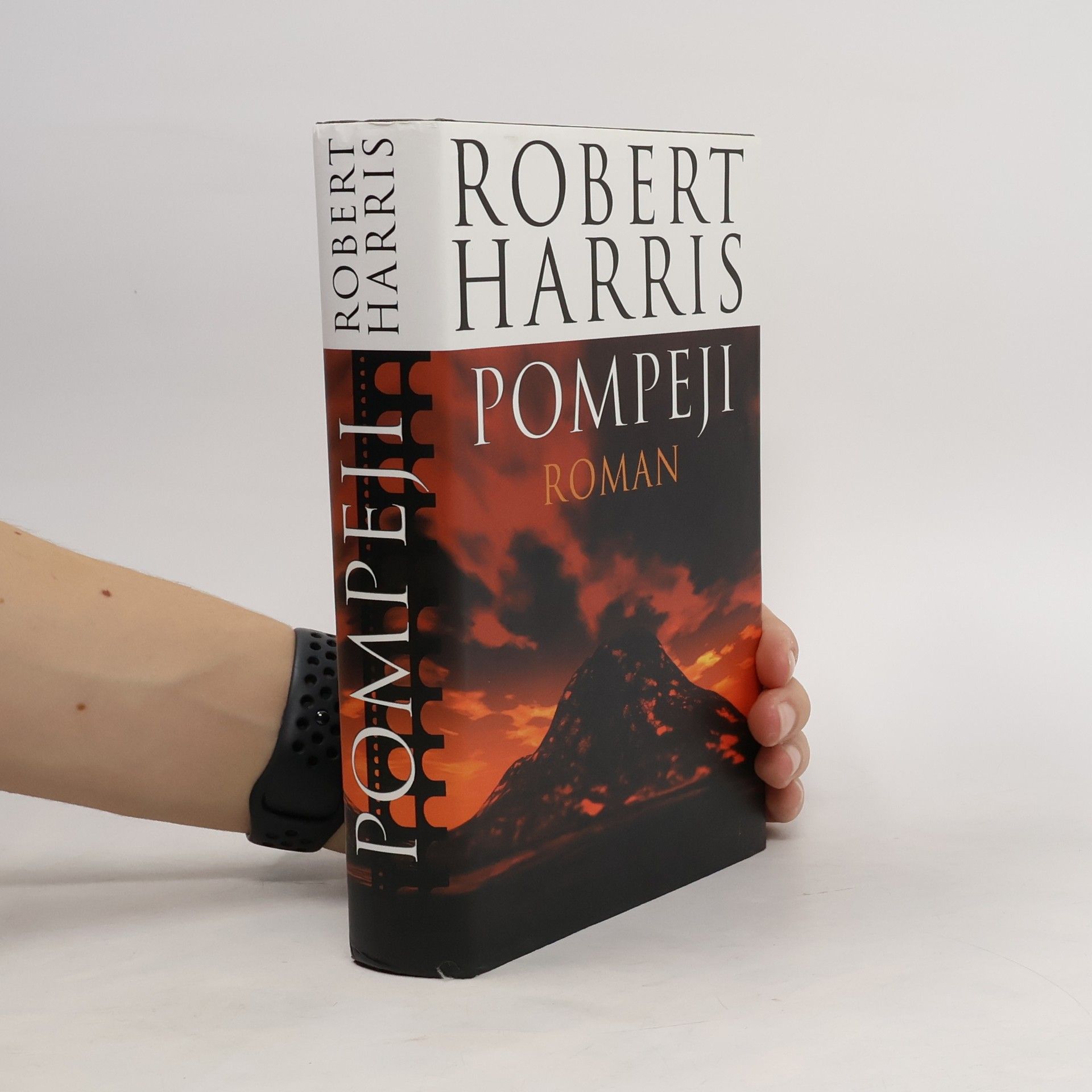 Robert Harris Pompeji