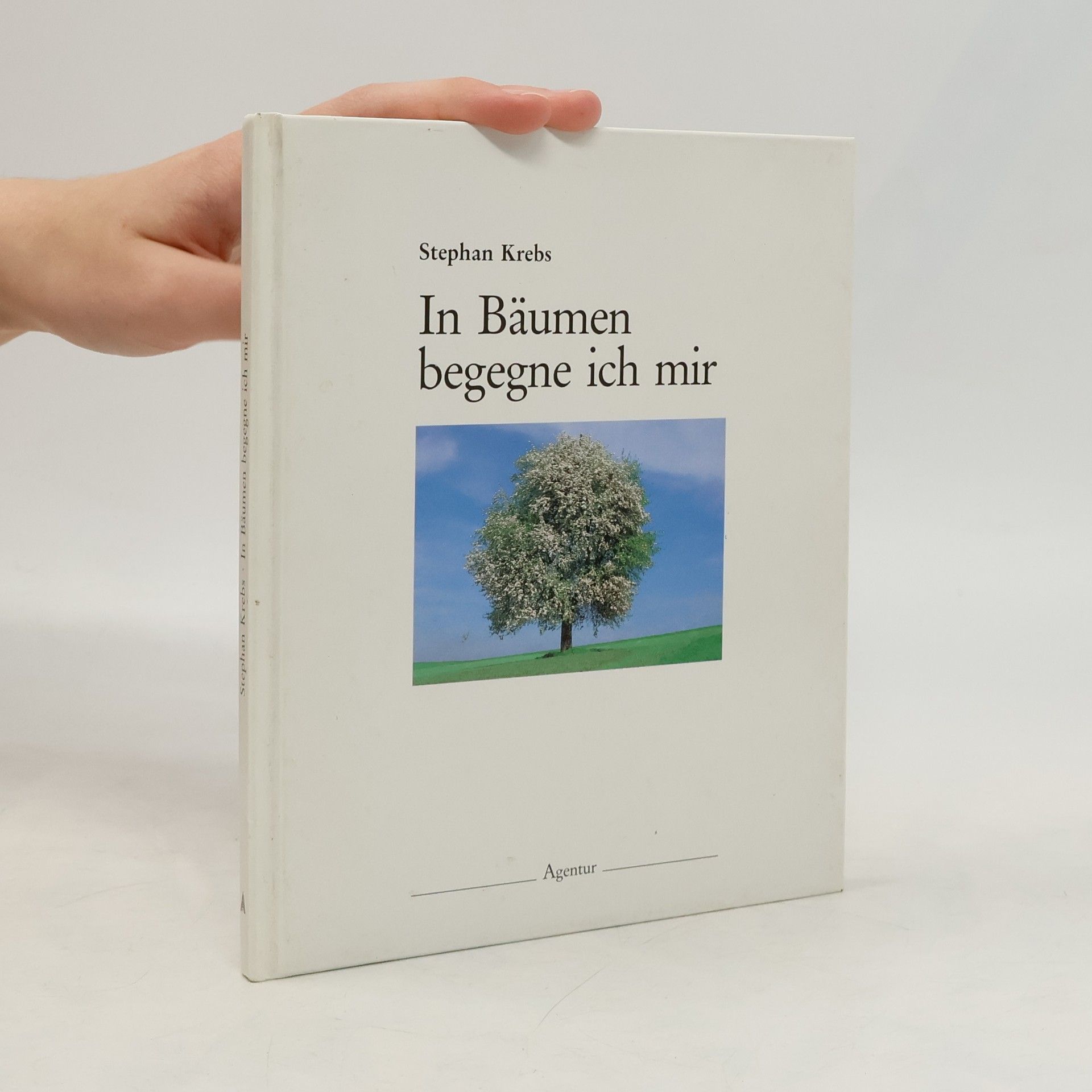 Stephan Krebs In Bäumen begegne ich mir