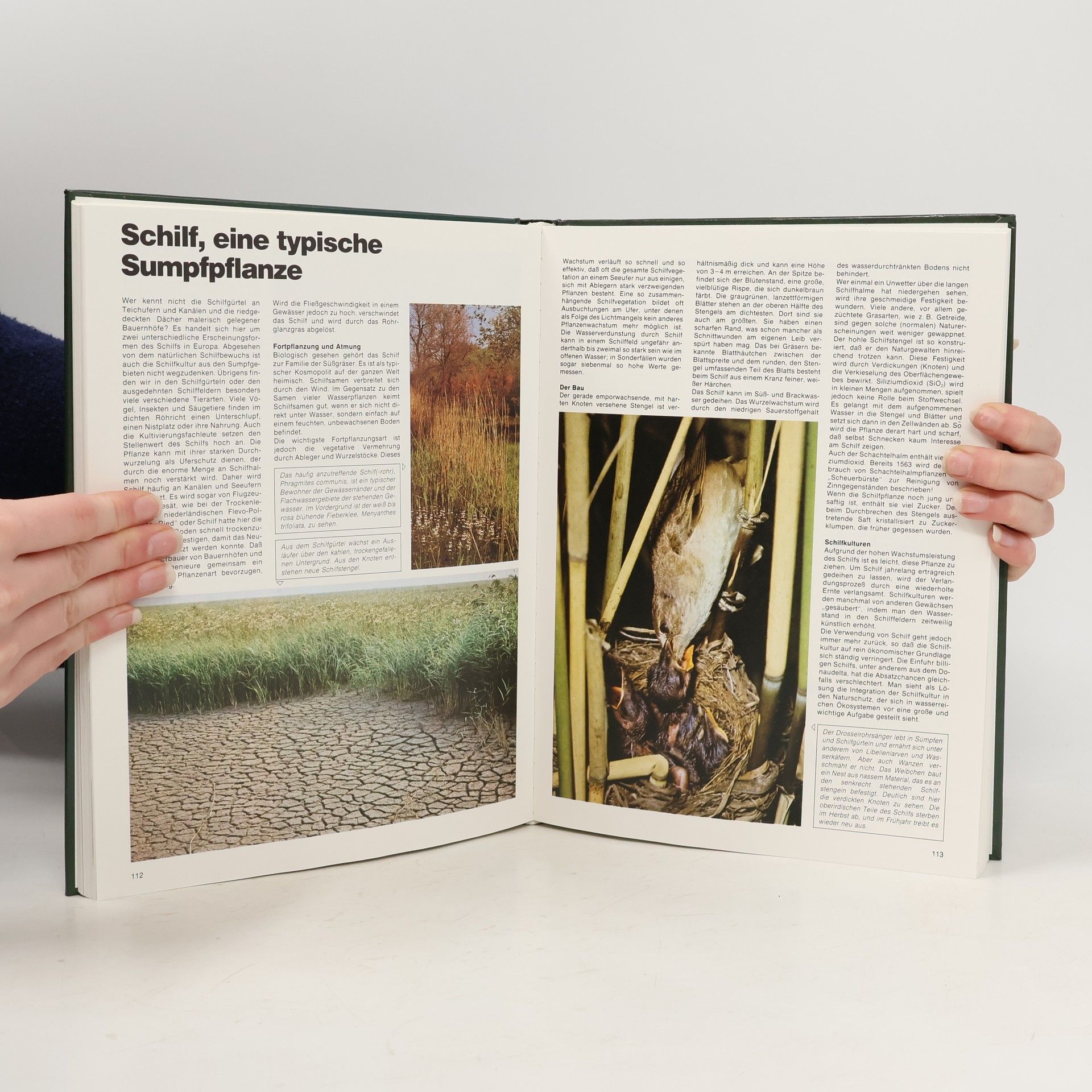 Various authors Noch mehr Wissen über Natur. Seen und Flüsse
