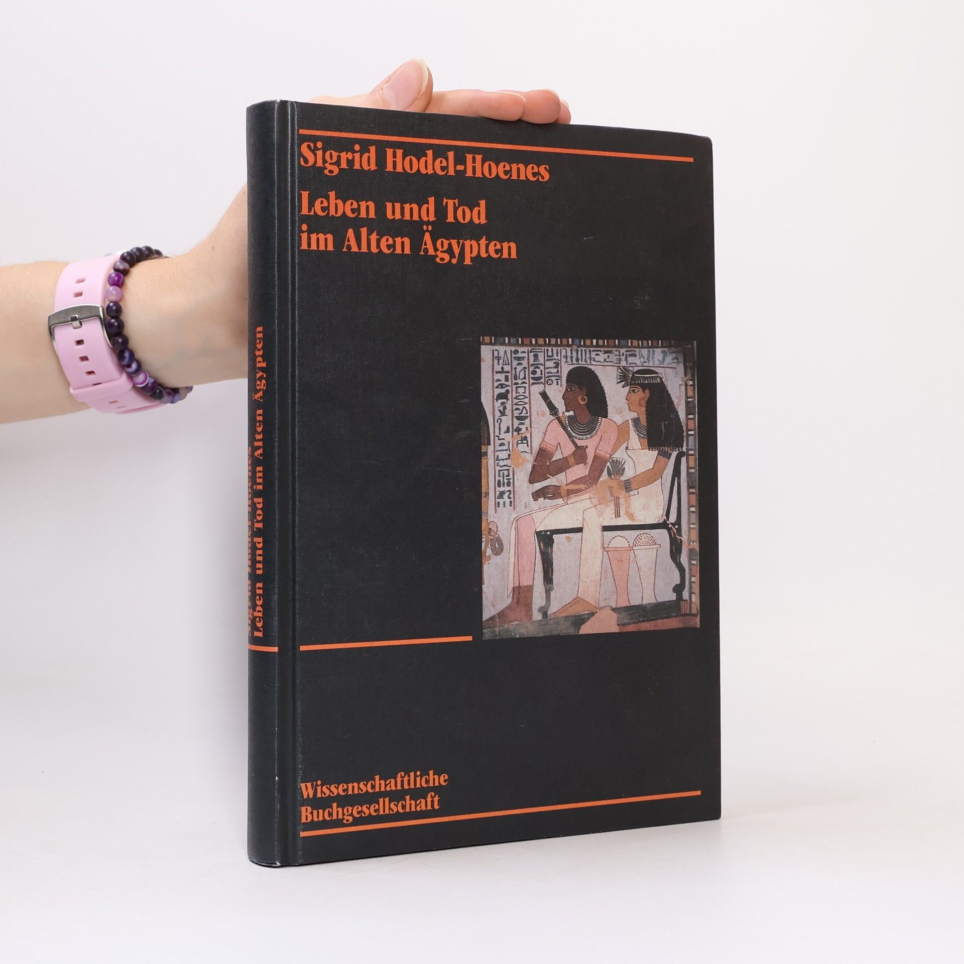Sigrid Hodel-Hoenes Leben und Tod im Alten Ägypten