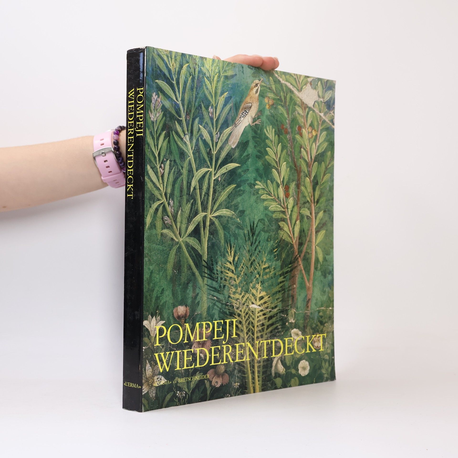 Pompeji wiederentdeckt