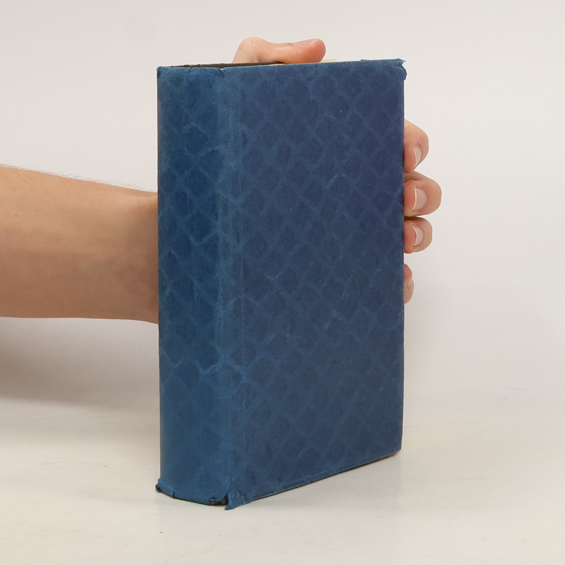 Auteurscollectief Das alte Testament