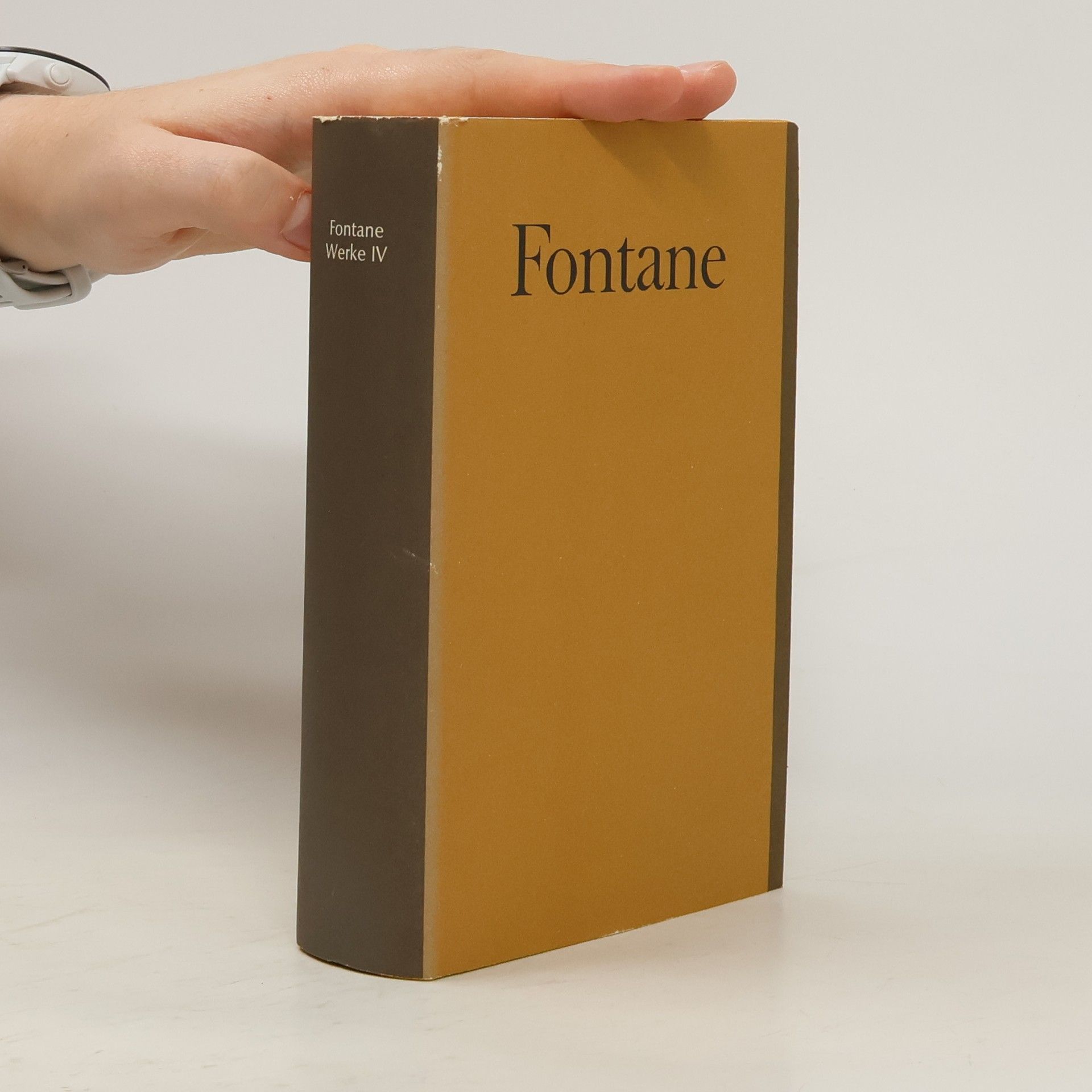 Theodor Fontane Fontane