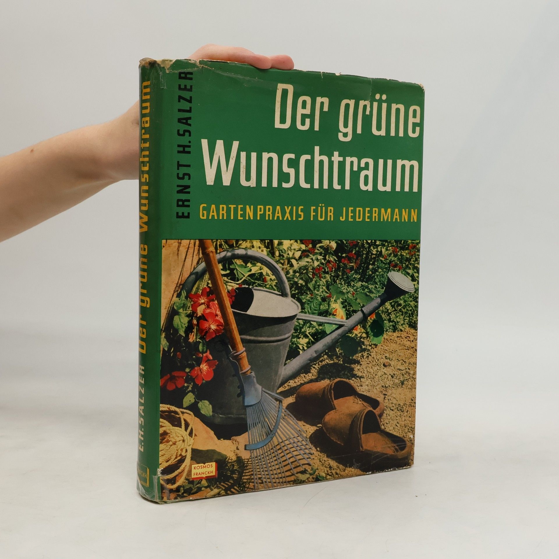 E.H.Salzer Der grüne Wunschtraum