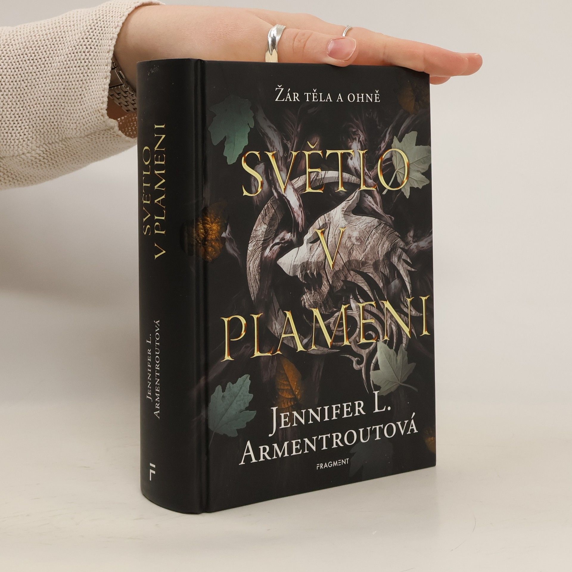 Jennifer L. Armentrout Světlo v plameni