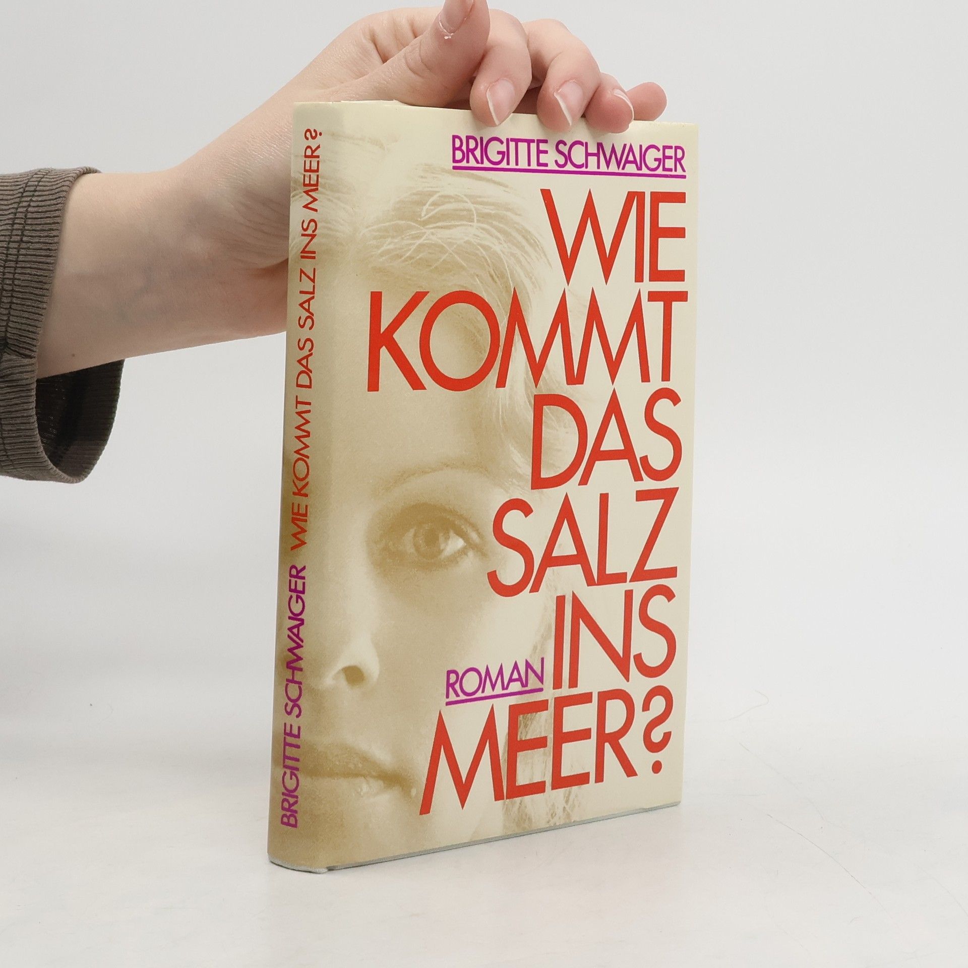 Brigitte Schwaiger Wie kommt das Salz ins Meer?