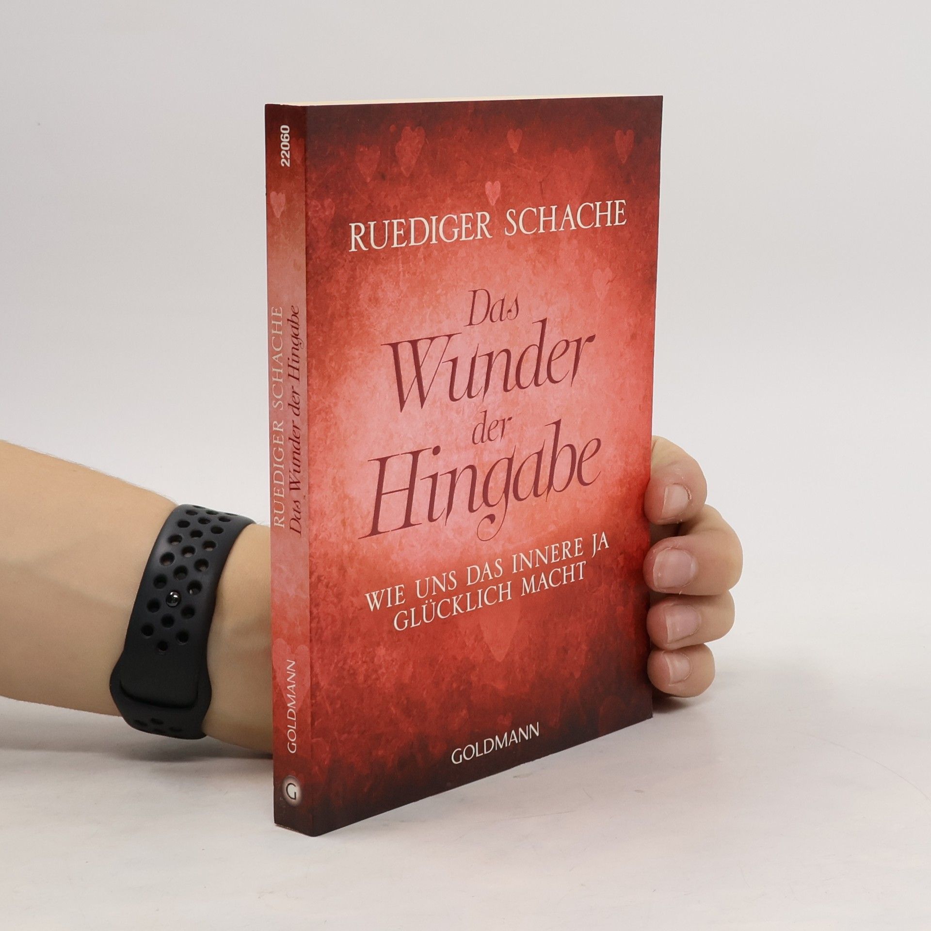 Ruediger Schache Das Wunder der Hingabe