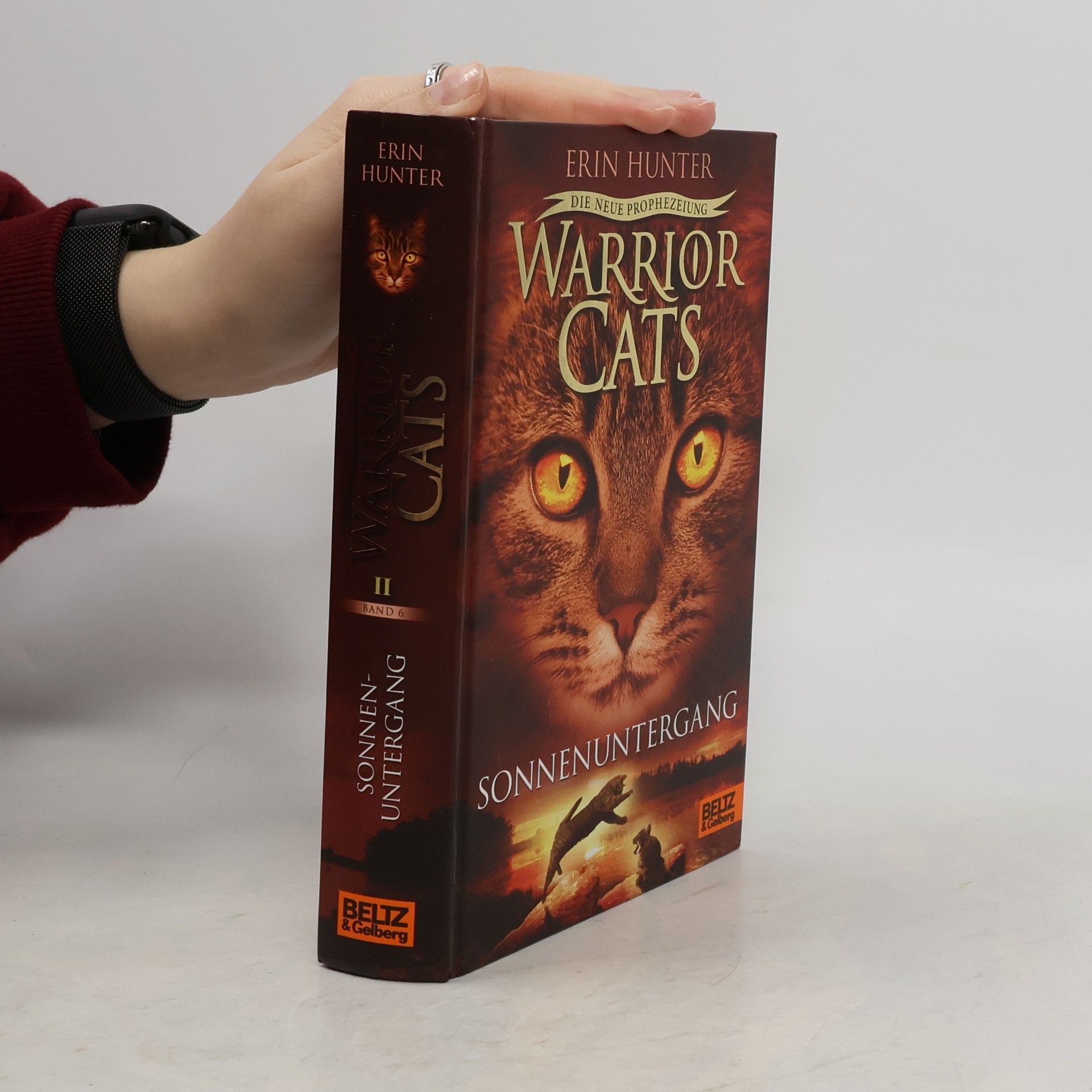 Erin Hunter Warrior Cats: Die neue Prophezeiung. Sonnenuntergang: II,6
