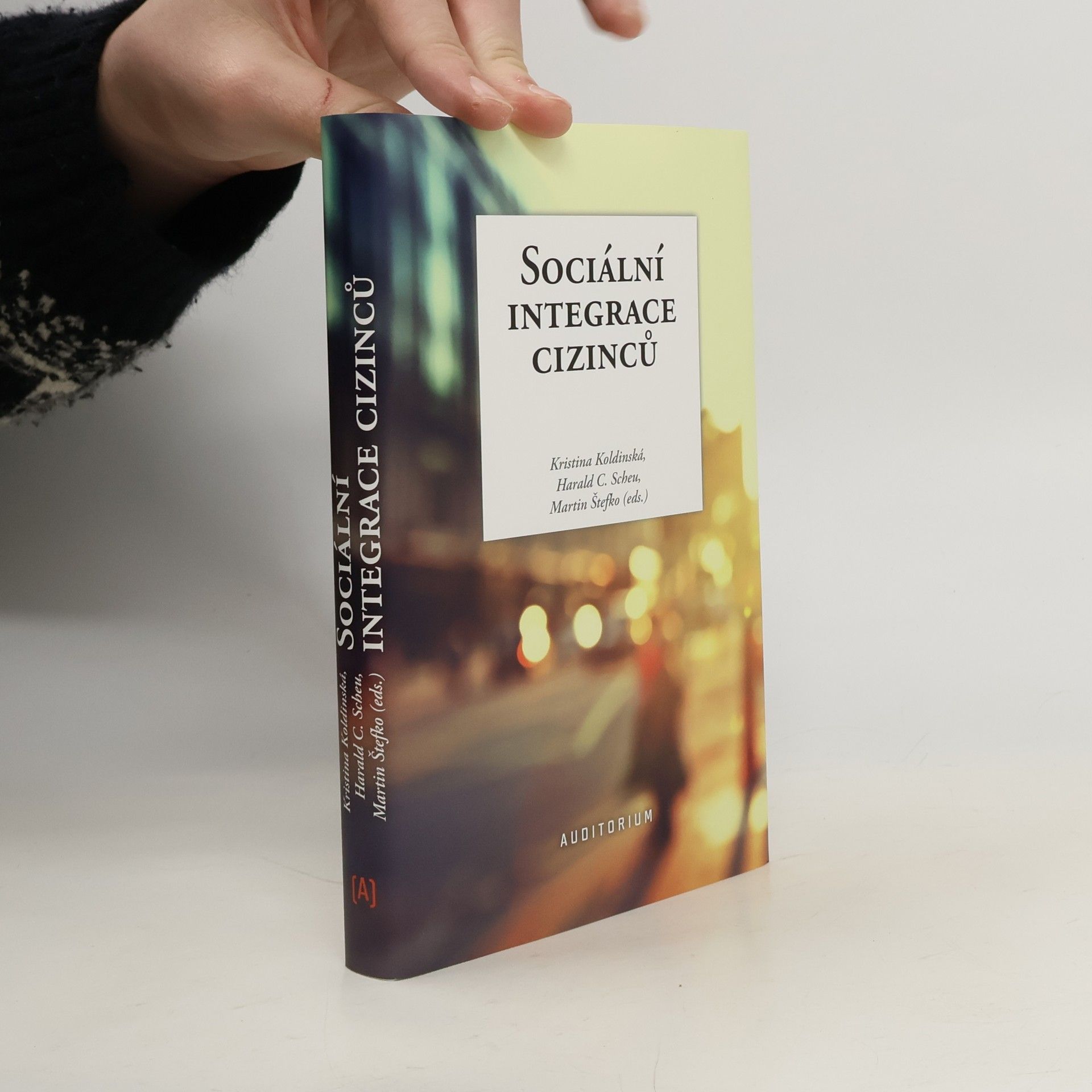 Sociální integrace cizinců