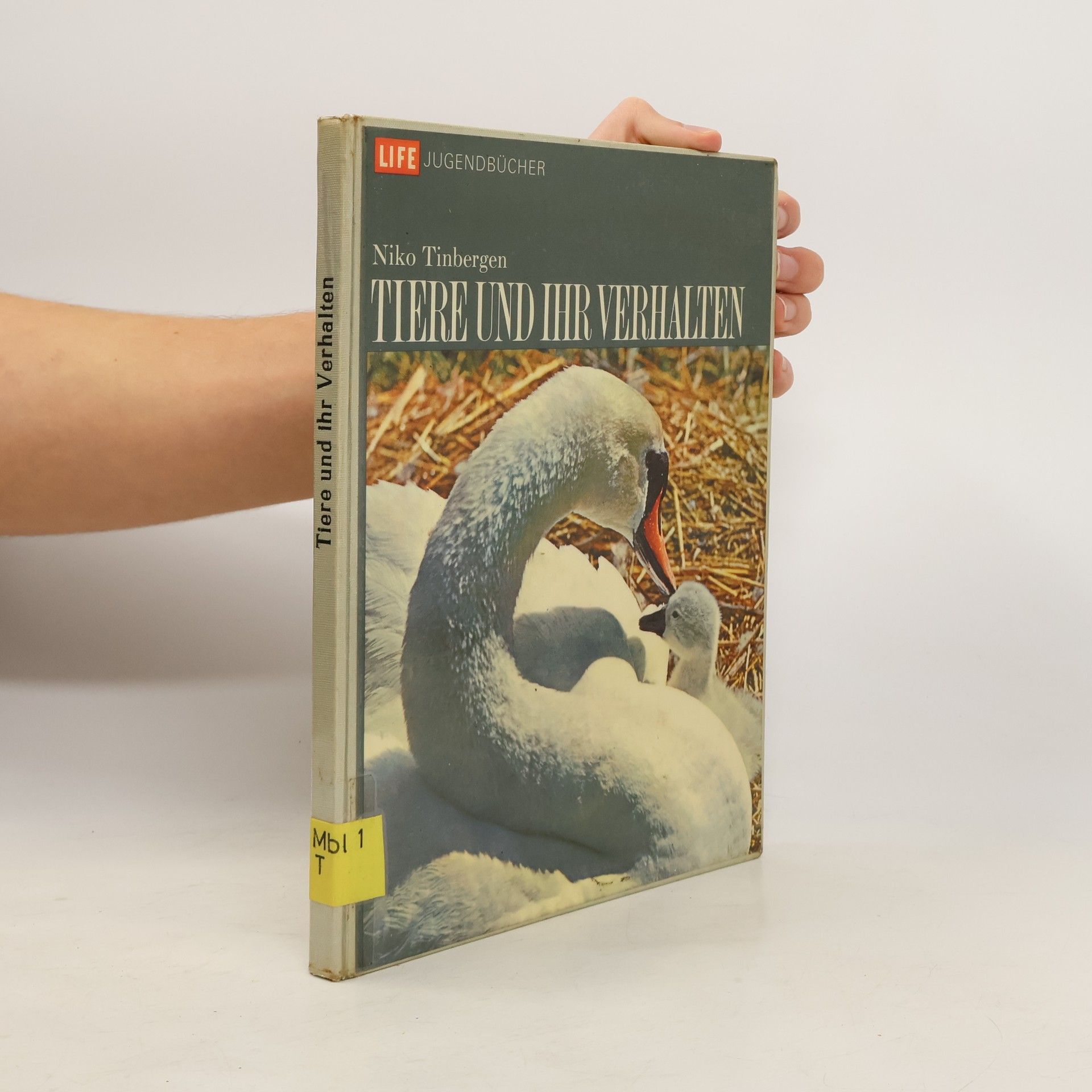 Tiere und ihr verhalten