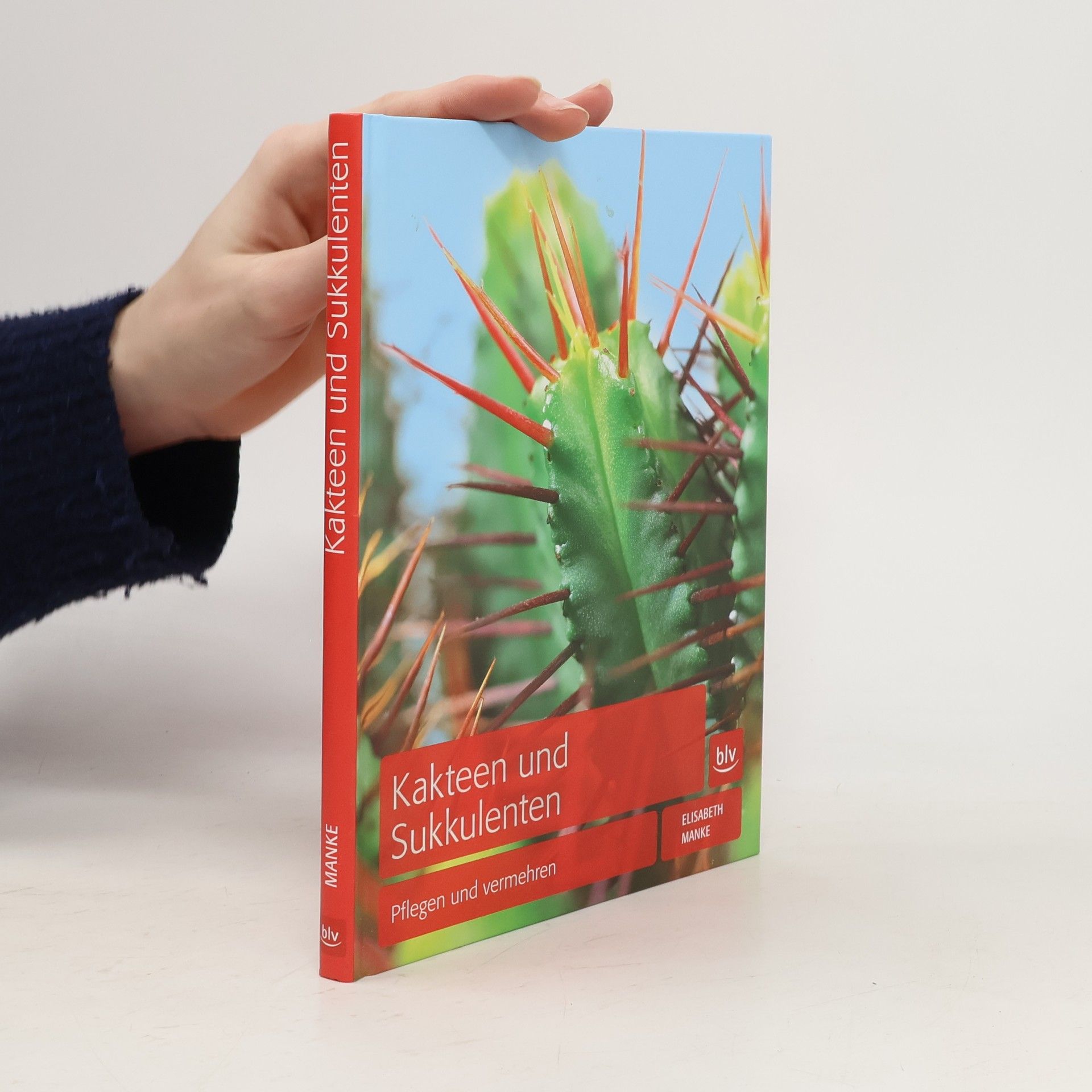 Kakteen und Sukkulenten