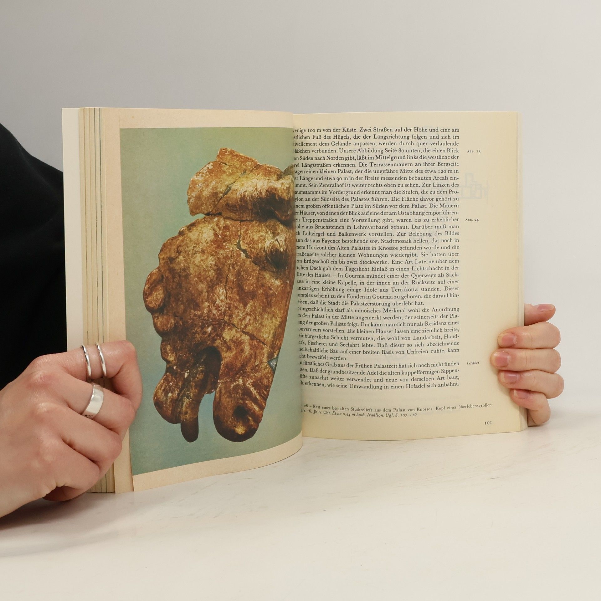 Friedrich Matz Kreta und frühes Griechenland. Prolegomena zur griechischen Kunstgeschichte