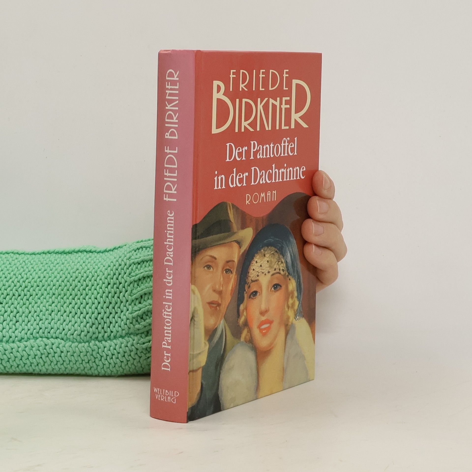 Friede Birkner Der Pantoffel in der Dachrinne