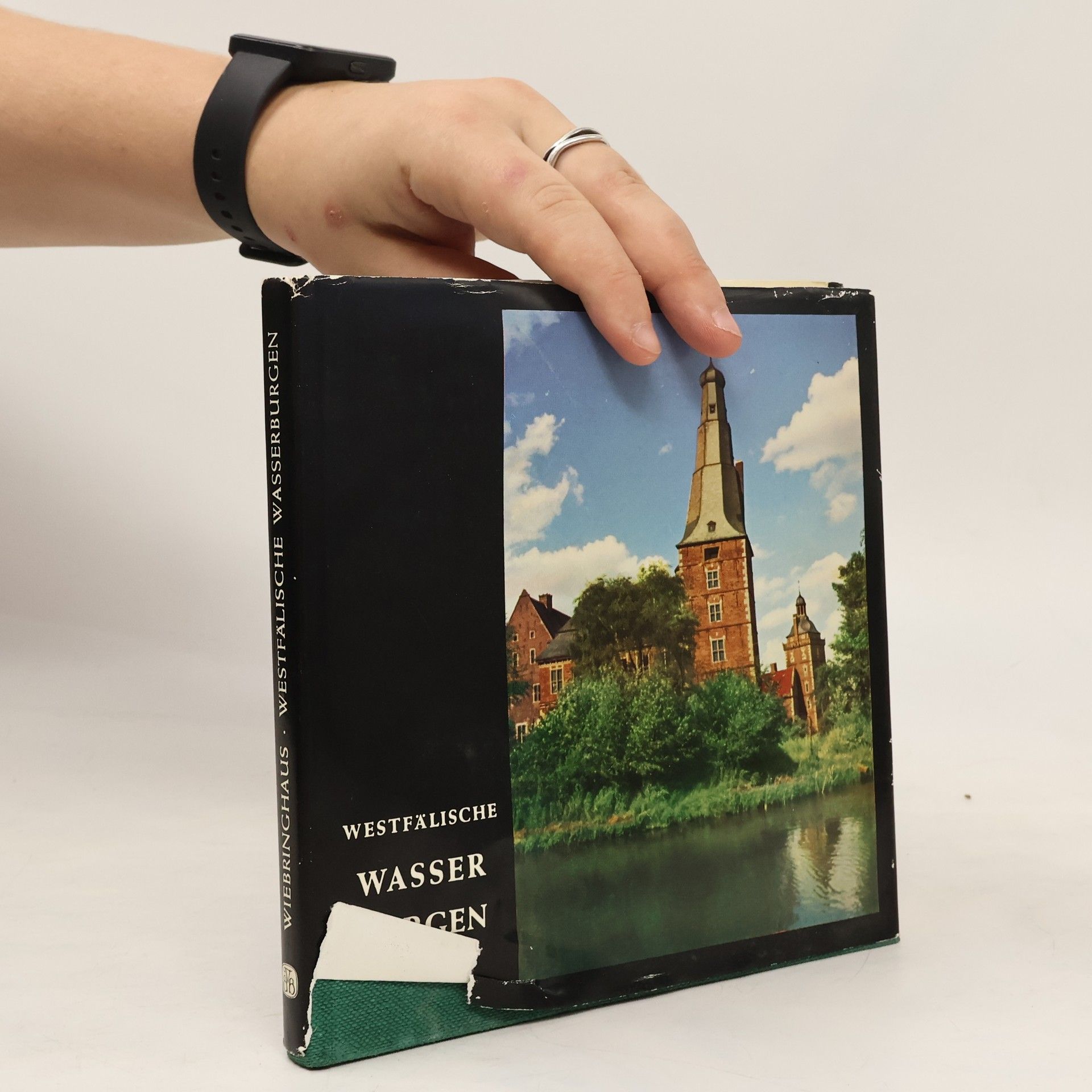 Autores varios Westfälische Wasserburgen