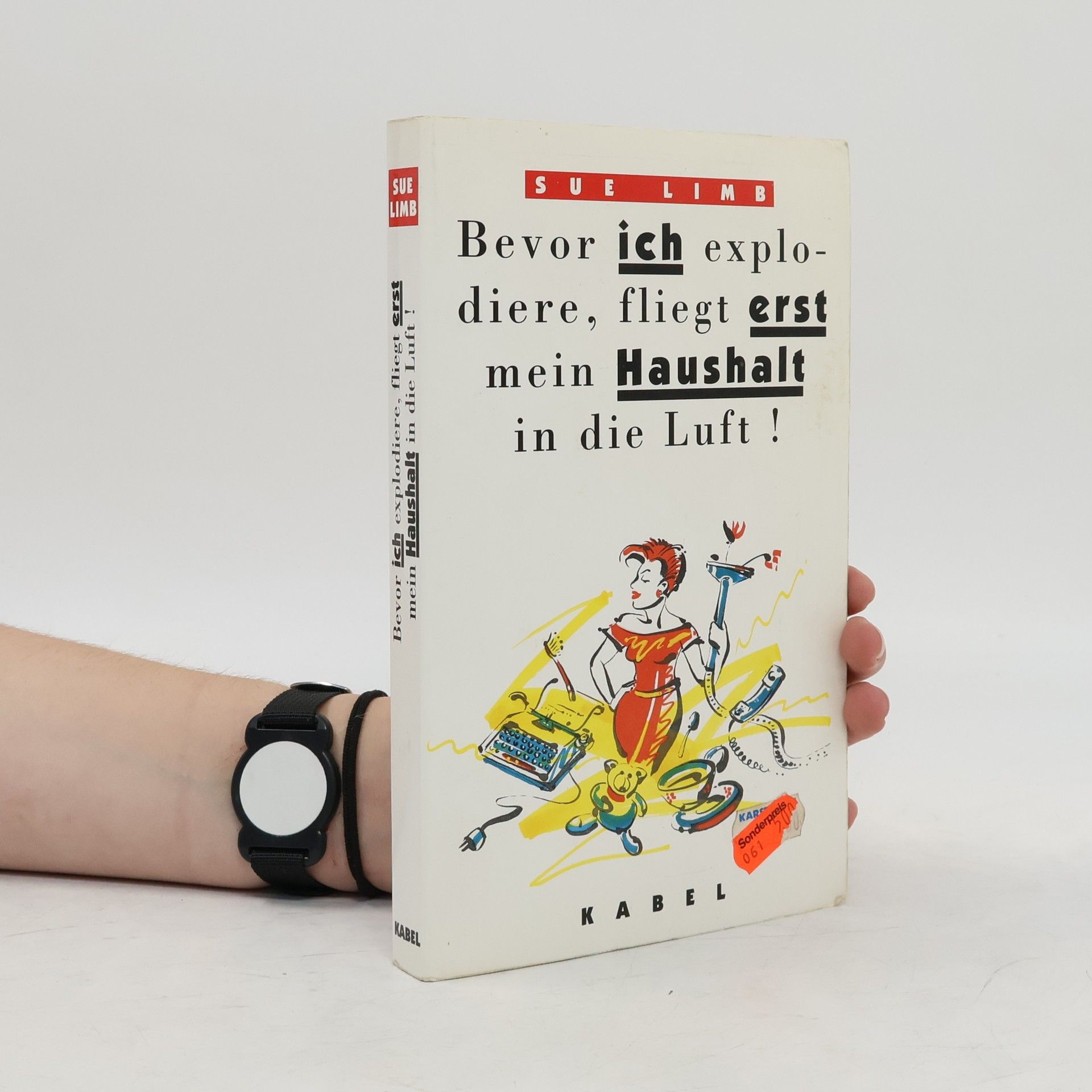 Sue Limb Bevor ich explodiere, fliegt erst mein Haushalt in die Luft!