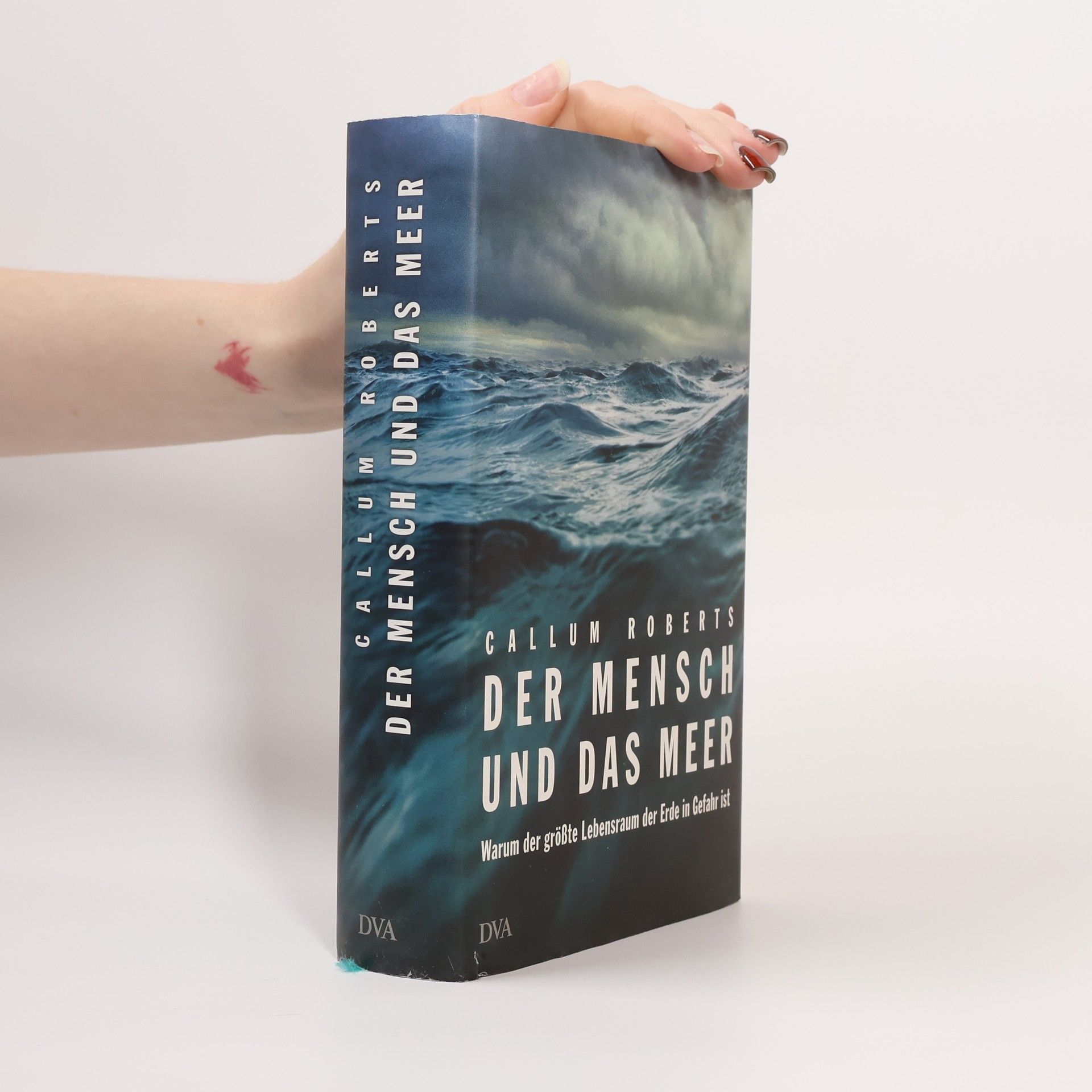 Callum Roberts Der Mensch und das Meer