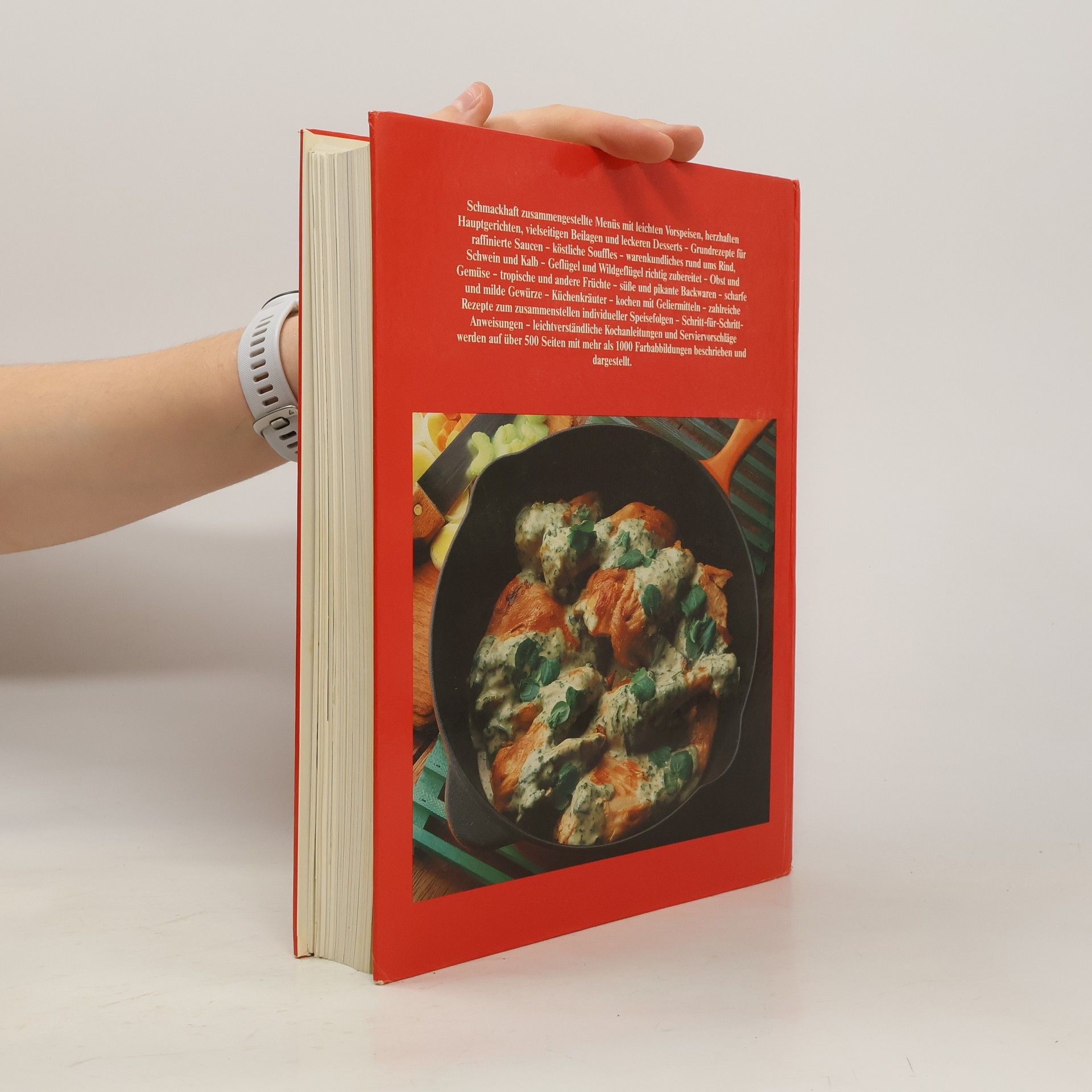 Autorenkollektiv Das große farbige Kochbuch