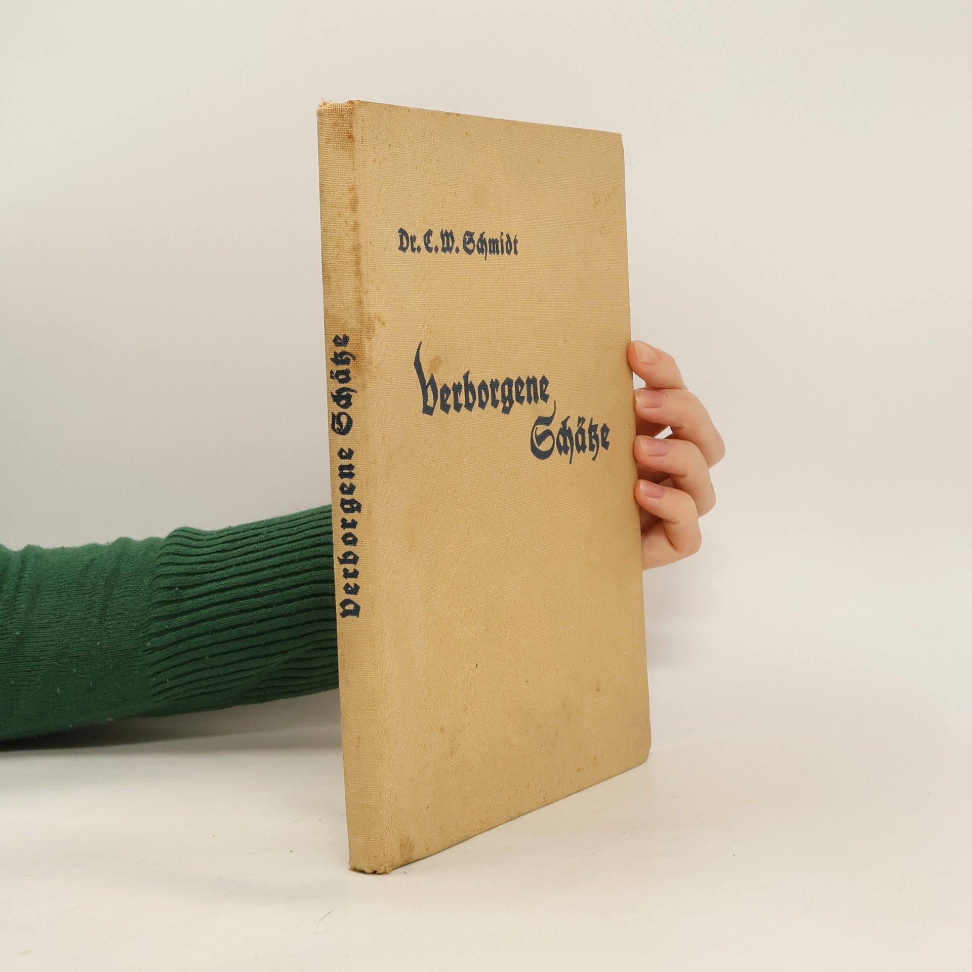 C. W. Schmidt Verborgene Schätze