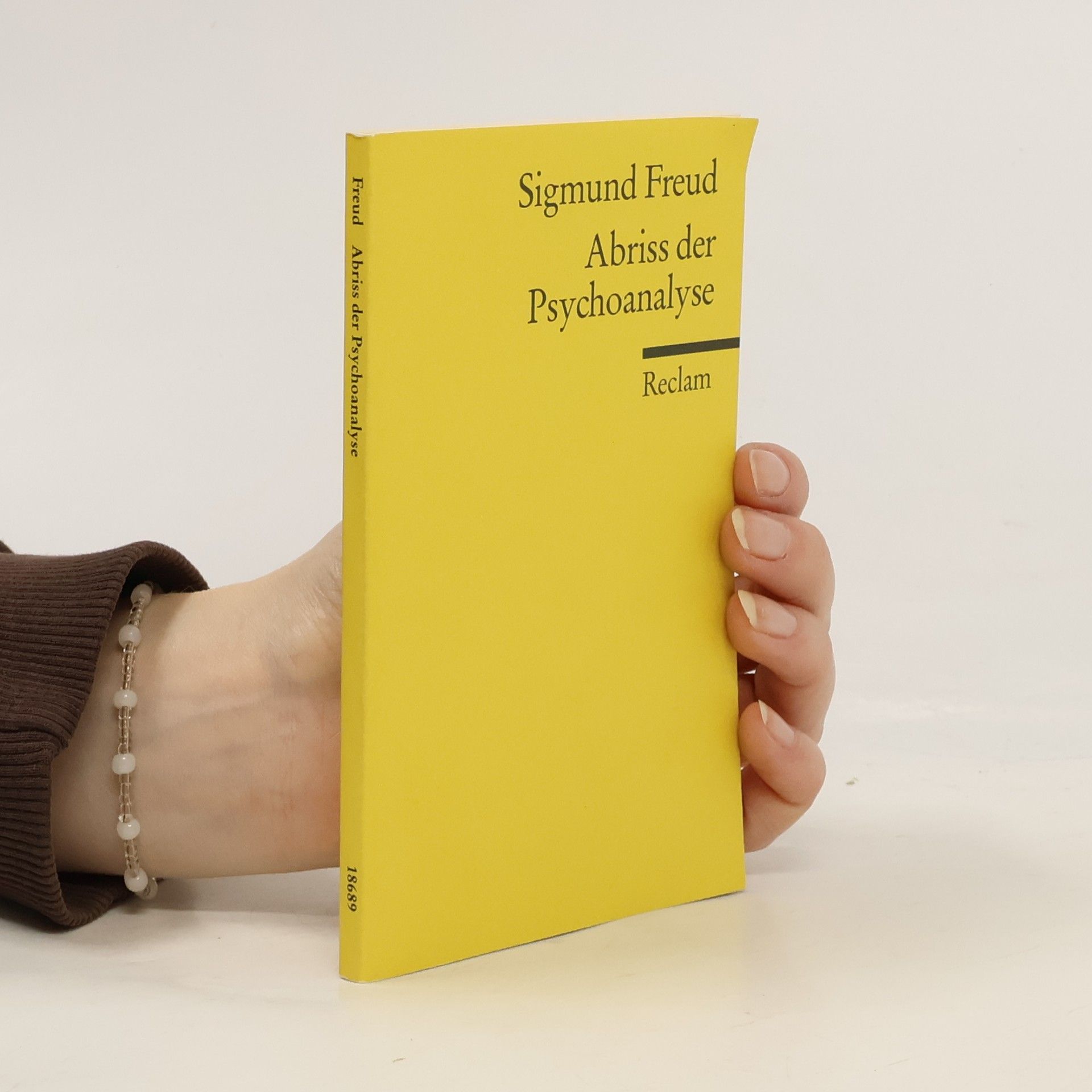 Sigmund Freud Abriss der Psychoanalyse