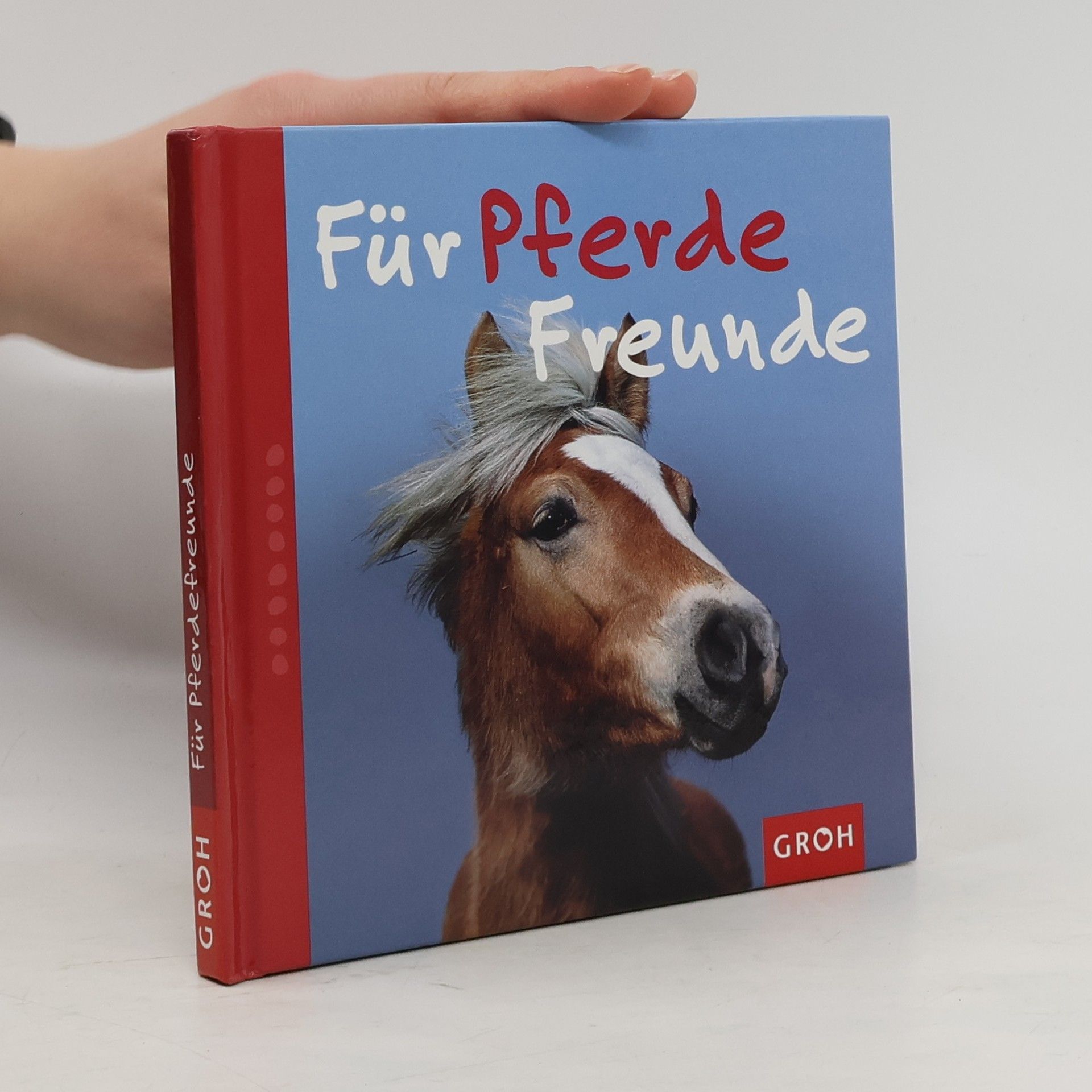 Nina Sandmann Für Pferdefreunde