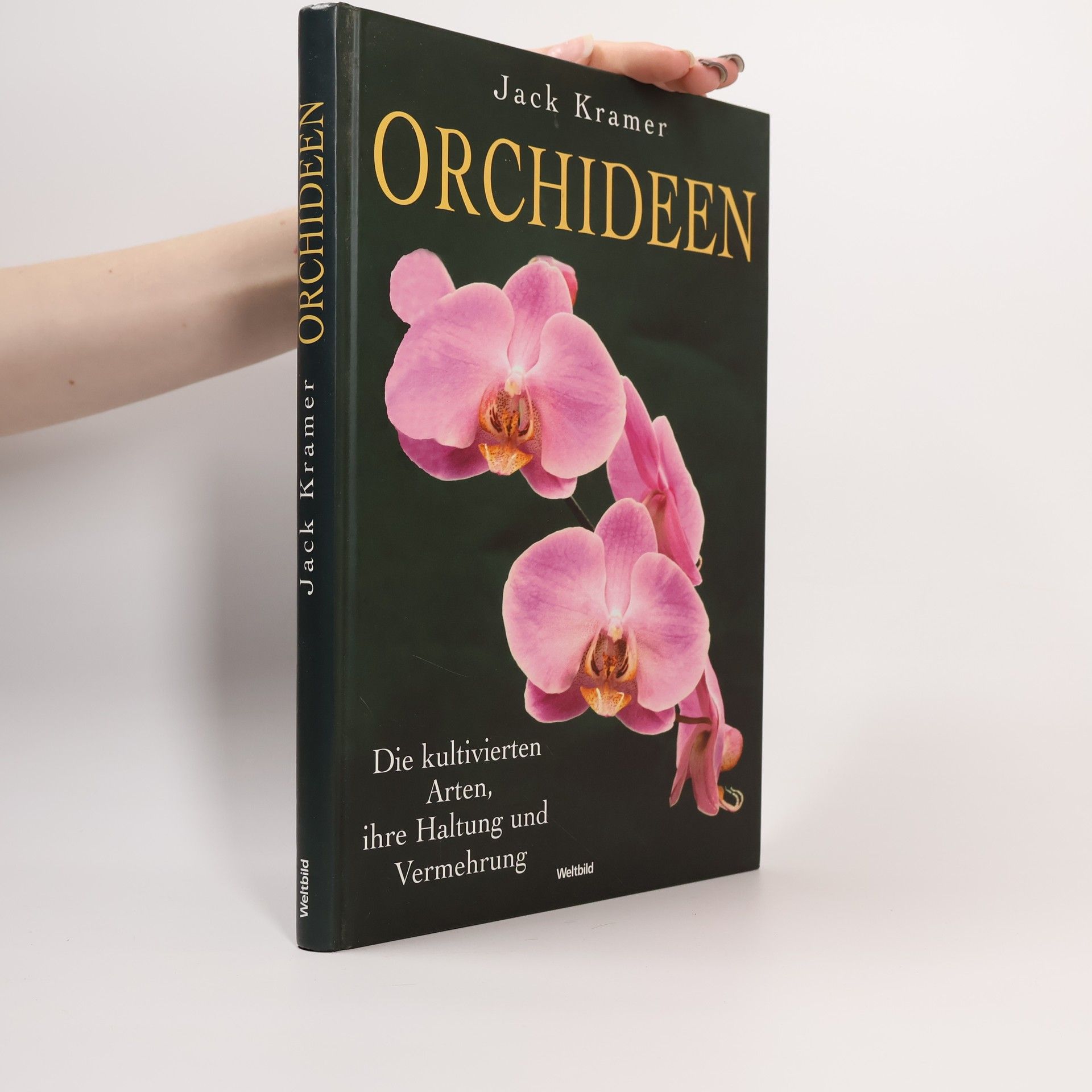 Orchideen