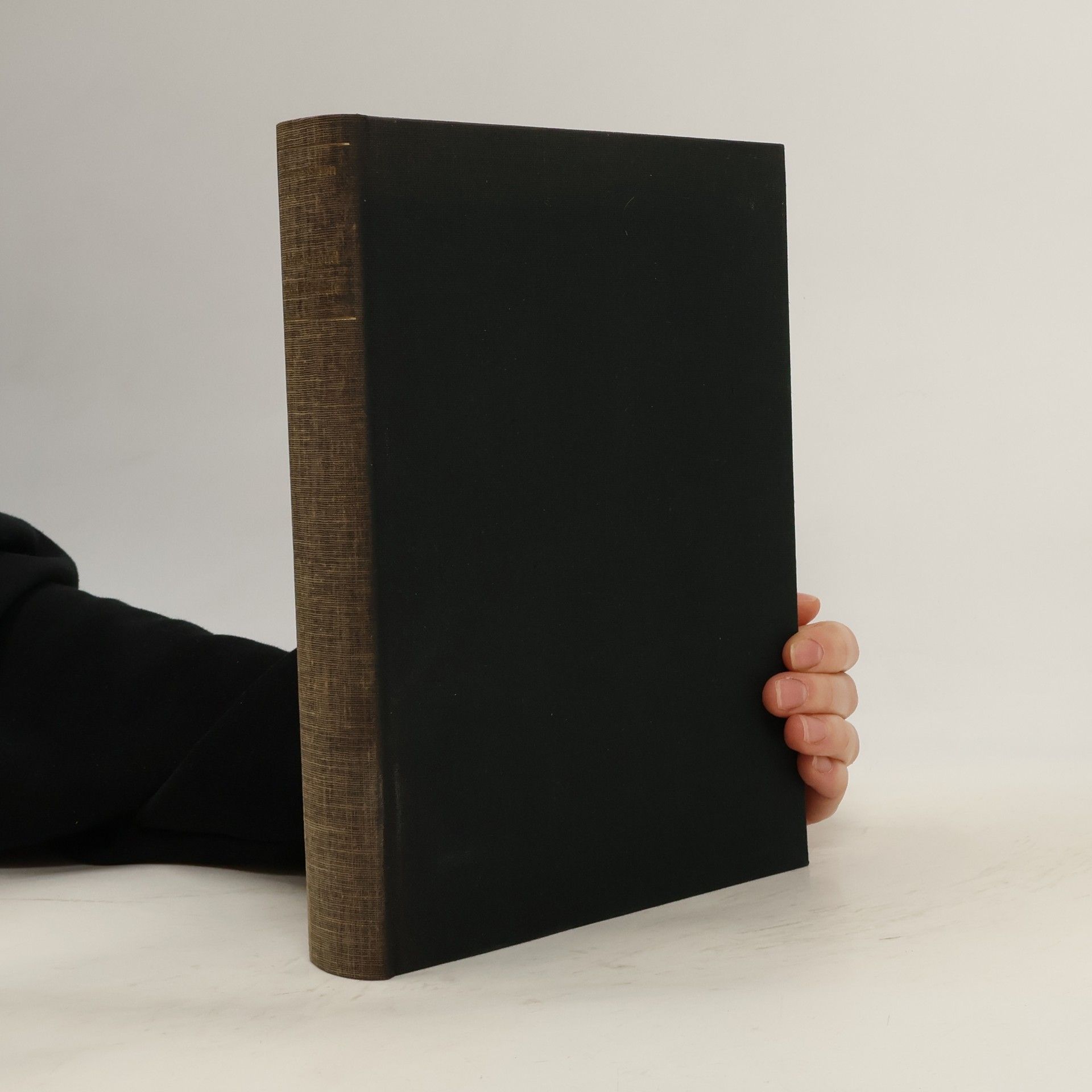 Étienne Gilson Malerei und Wirklichkeit