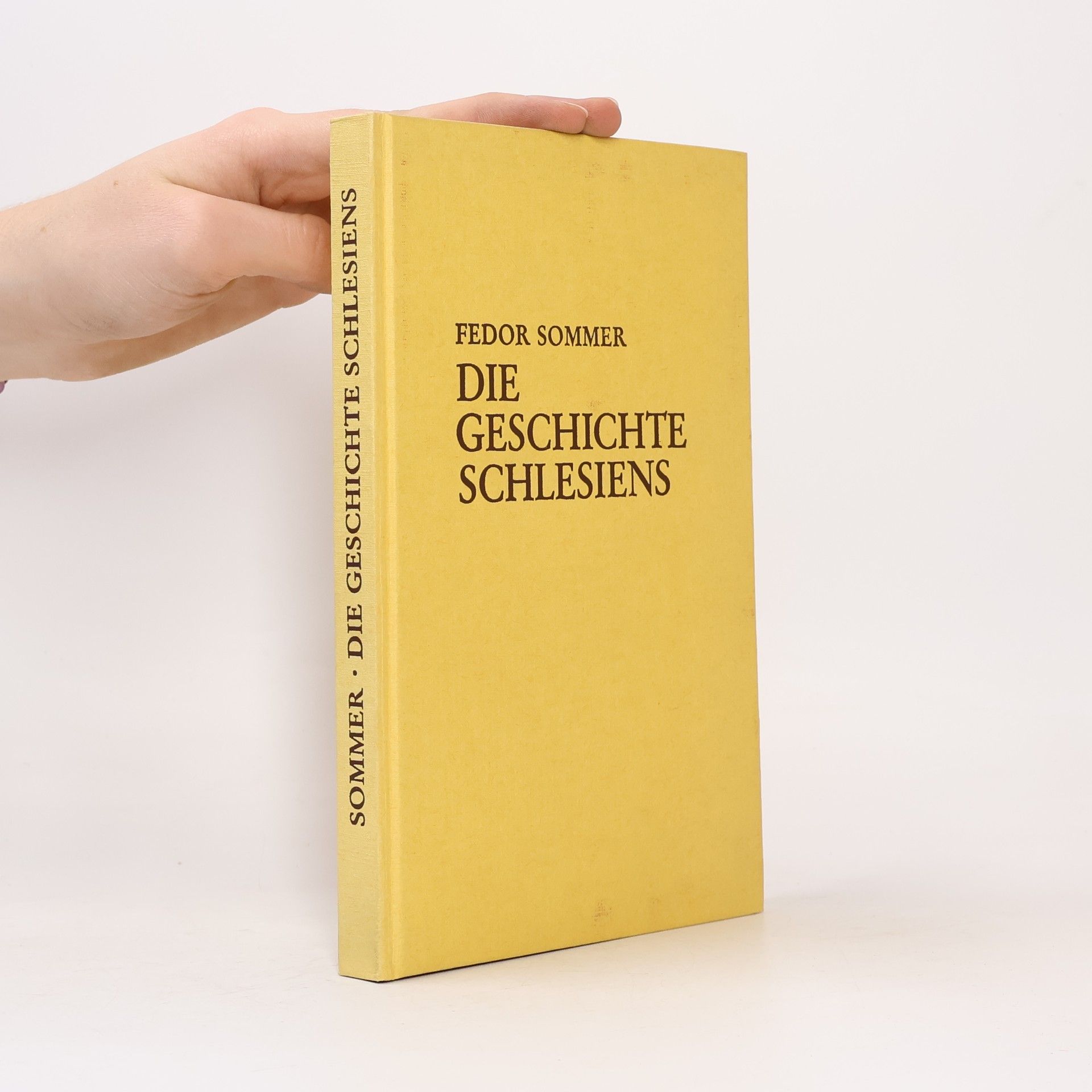 Fedor Sommer Die Geschichte Schlesiens