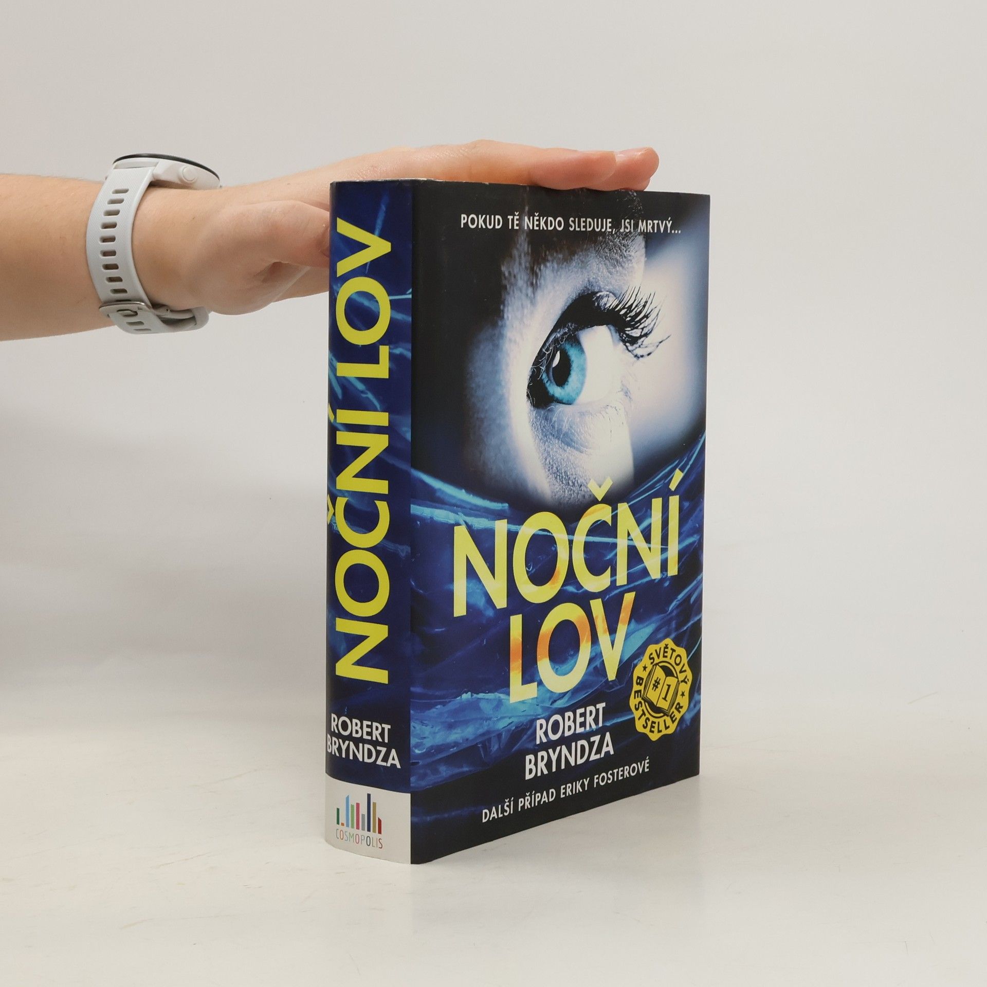 Robert Bryndza Noční lov