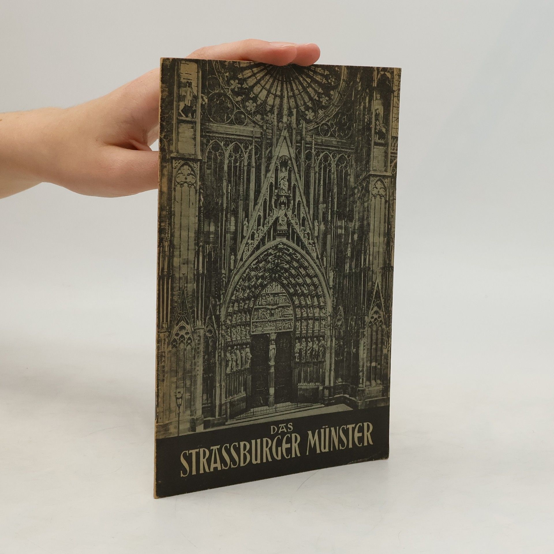 Various authors Das Strassburger Münster