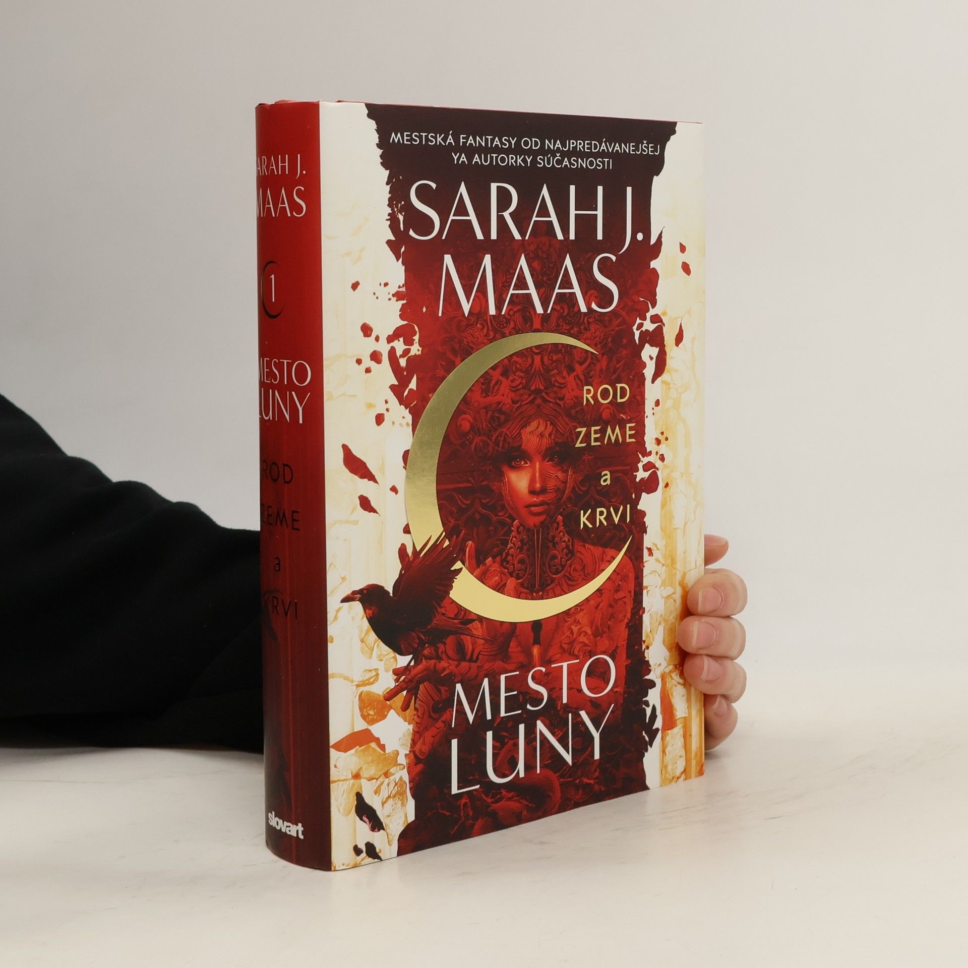 Sarah J. Maasová Rod zeme a krvi