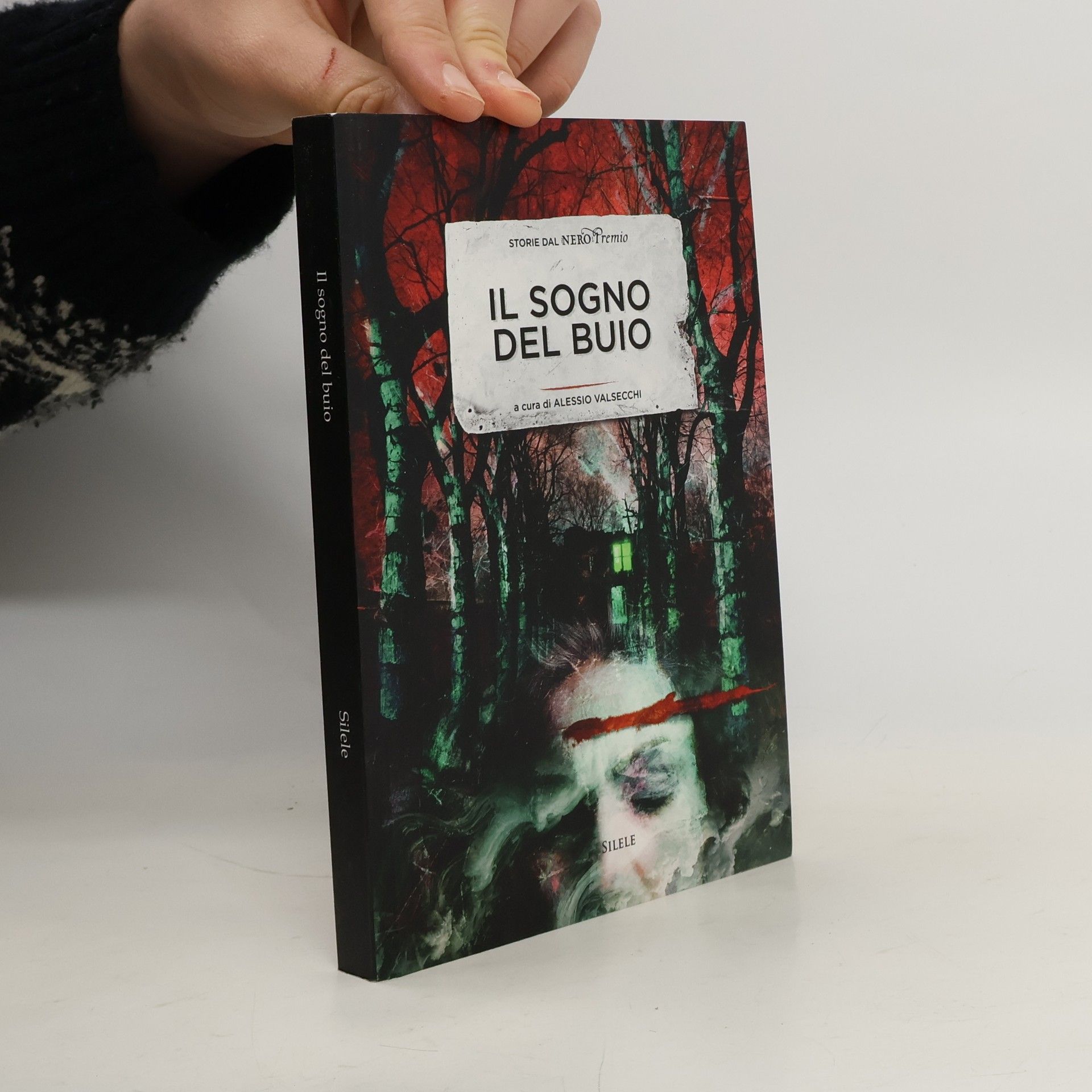 Alessio Valsecchi Il sogno del buio. Storie dal NeroPremio