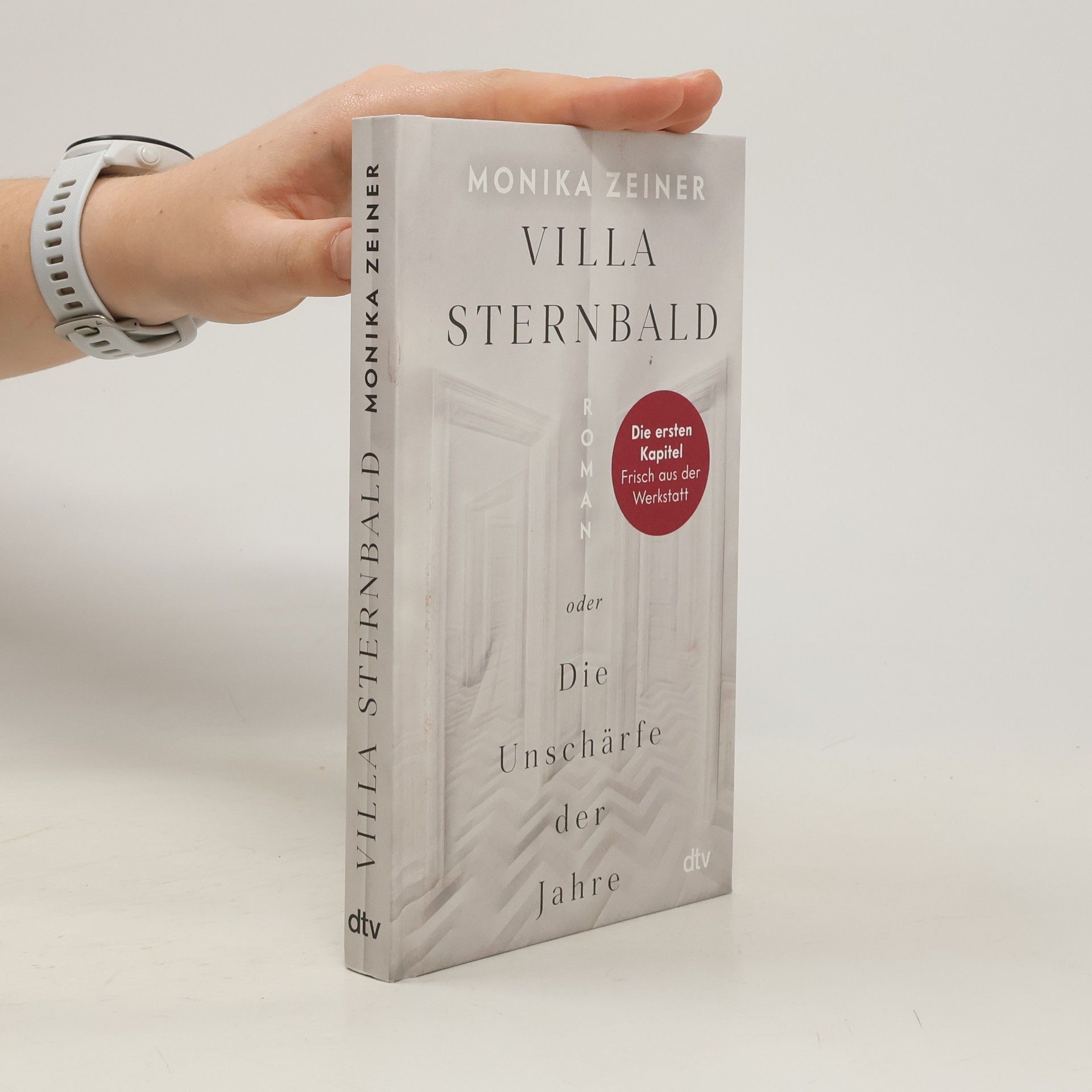 Villa Sternbald oder Die Unschärfe der Jahre. Roman